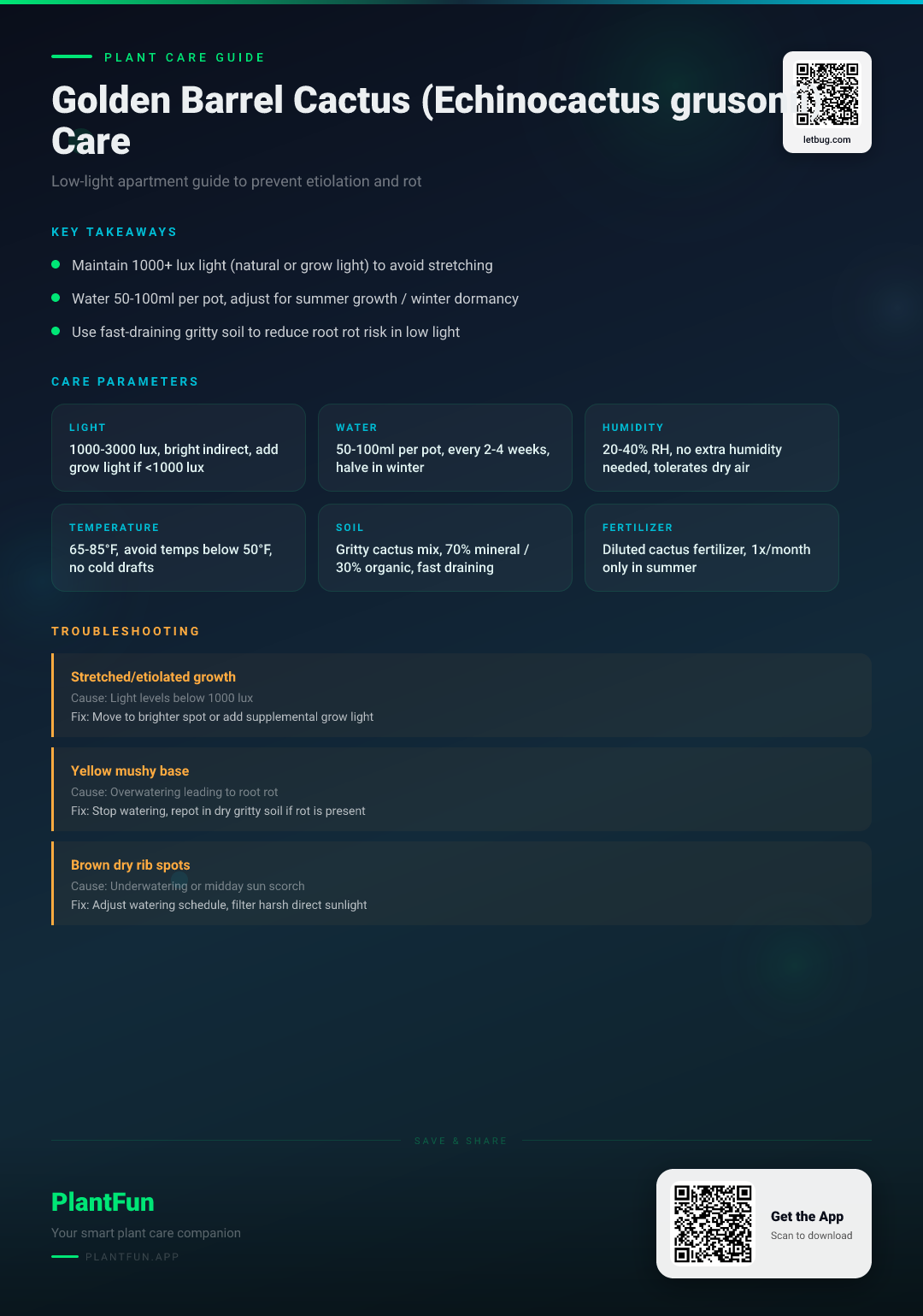 Golden Barrel Cactus in a Low-Light Apartment: 5 Fixes to Prevent Etiolation and Rot — Care Guide for indoor houseplants