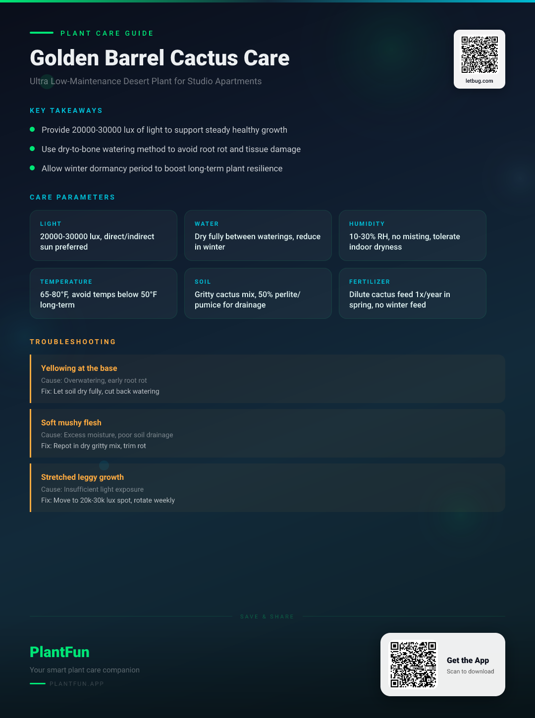 Golden Barrel Cactus in a Studio Apartment: The Ultimate Low-Maintenance Care Guide — Care Guide for indoor houseplants