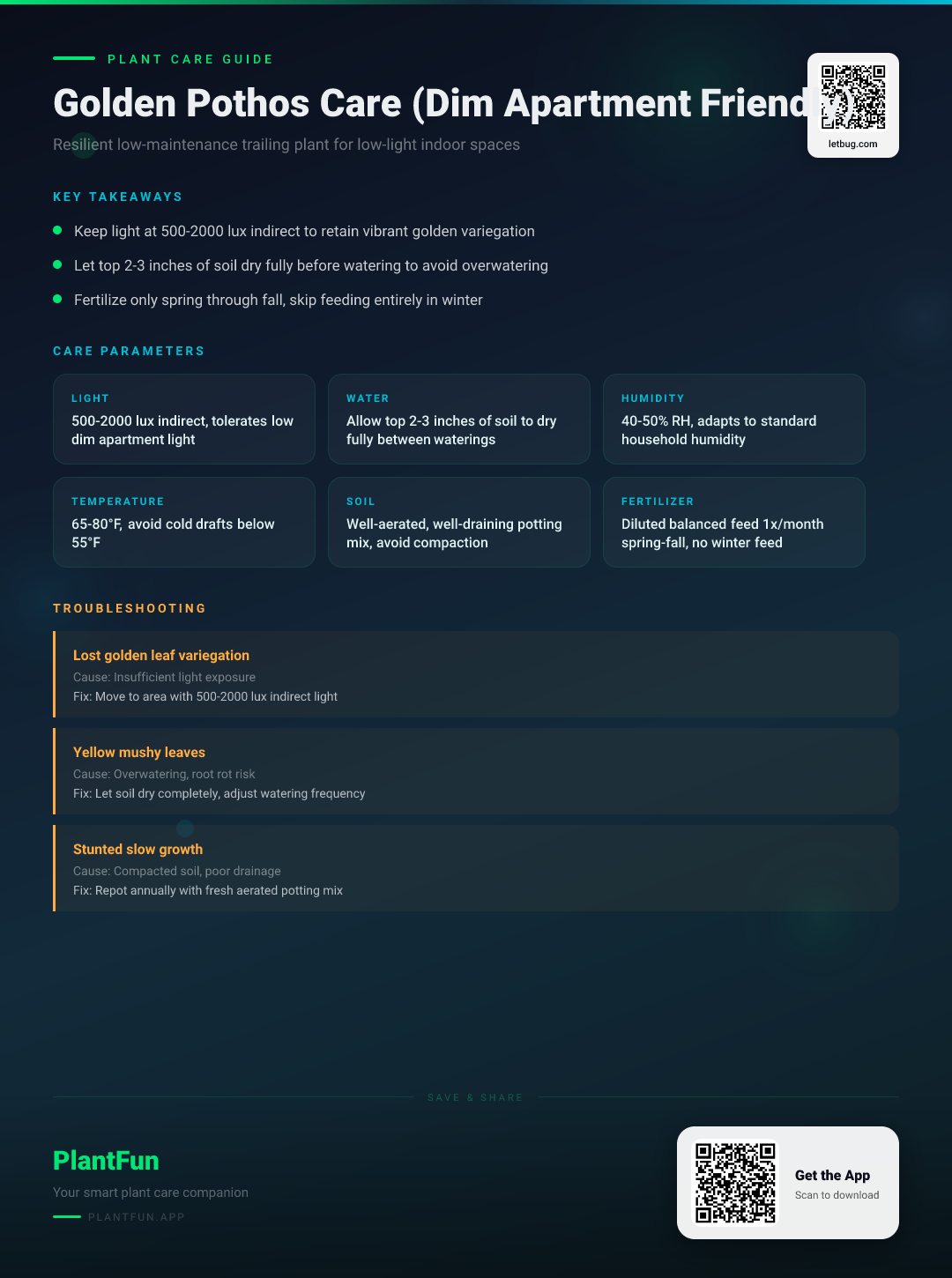 Golden Pothos in a Dim Apartment: The Only Care Guide You’ll Ever Need — Care Guide for indoor houseplants