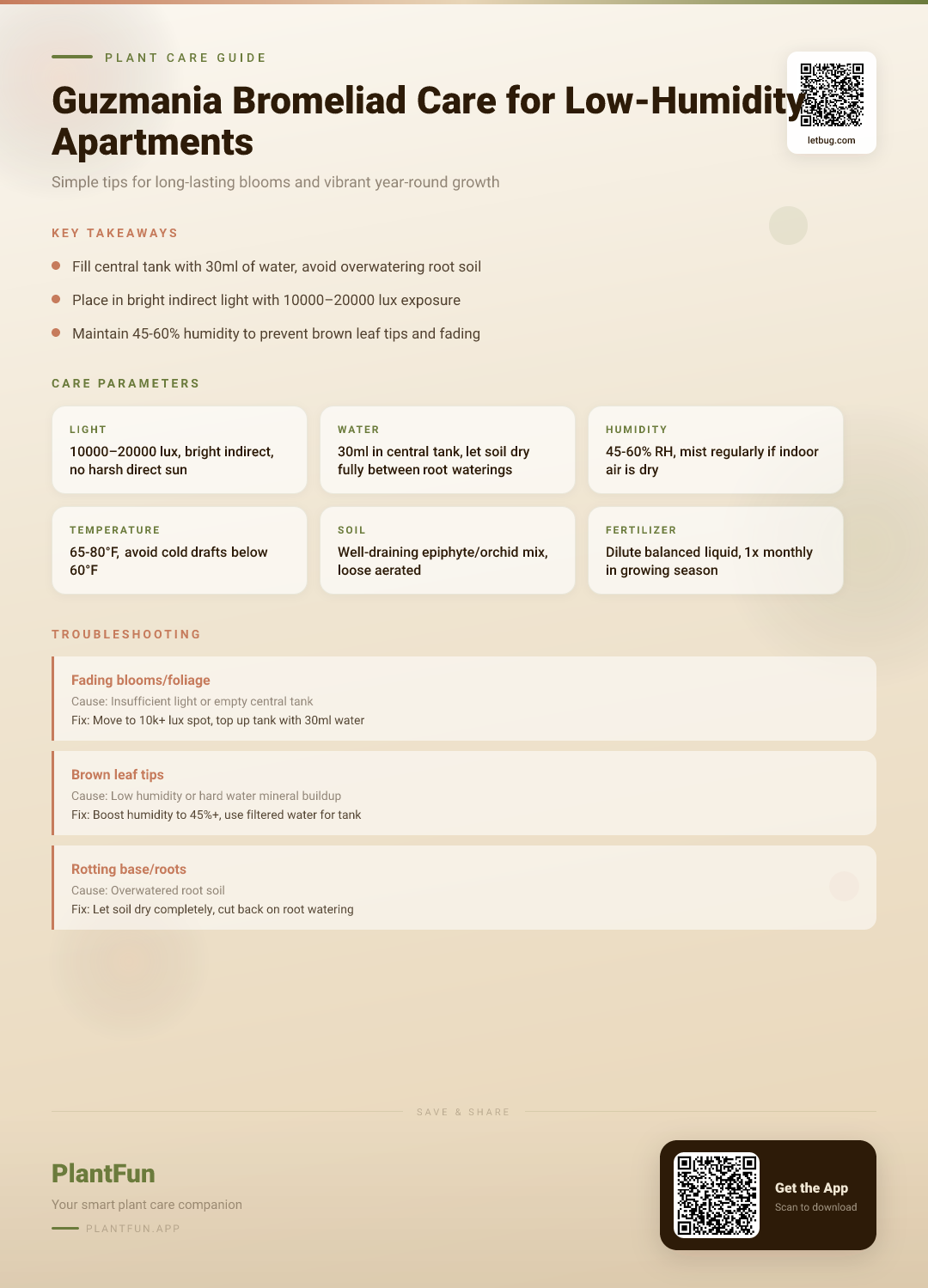 Guzmania Bromeliads in Low-Humidity Apartments: A Simple Care Guide for Lasting Blooms — Care Guide for indoor houseplants