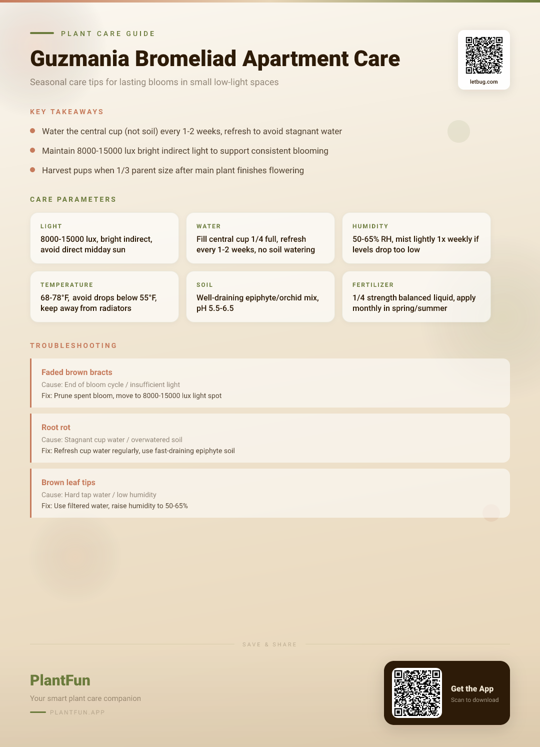 Guzmania Bromeliads in Small Apartments: The Ultimate Seasonal Care Guide for Lasting Blooms — Care Guide for indoor houseplants