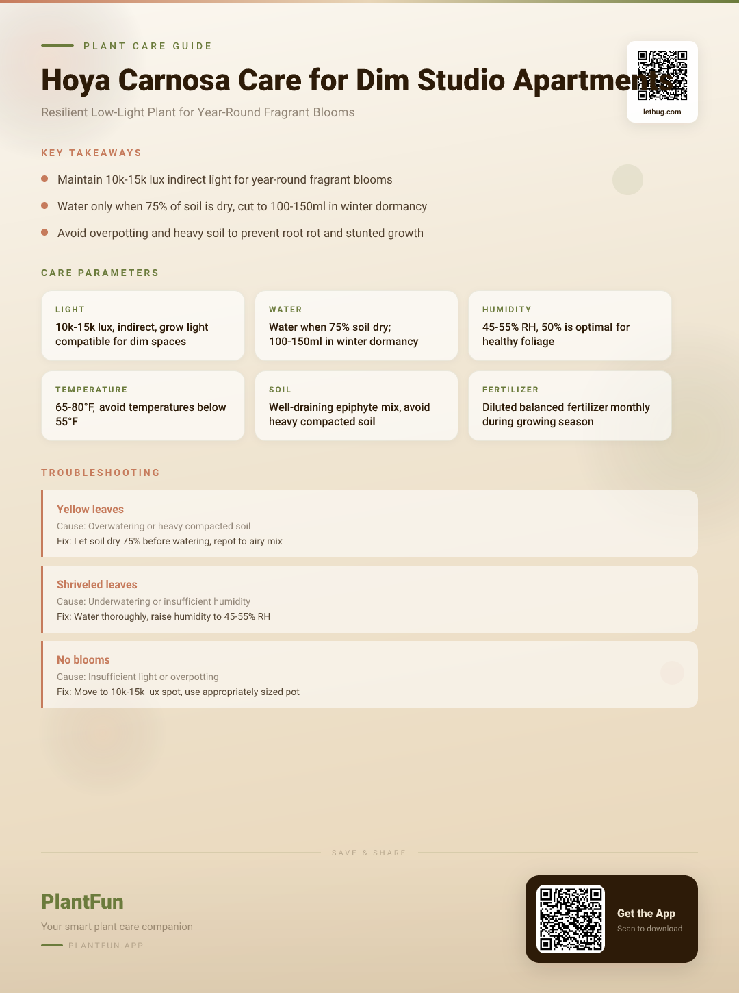 Hoya Carnosa in a Dim Studio Apartment: The Resilient Guide to Blooming All Year — Care Guide for indoor houseplants