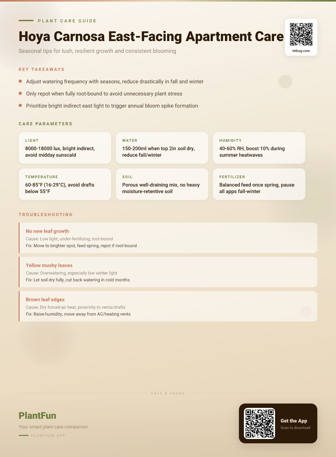 Hoya Carnosa in East-Facing Apartments: The Complete Seasonal Care Checklist for Resilient Growth — Care Guide for indoor houseplants