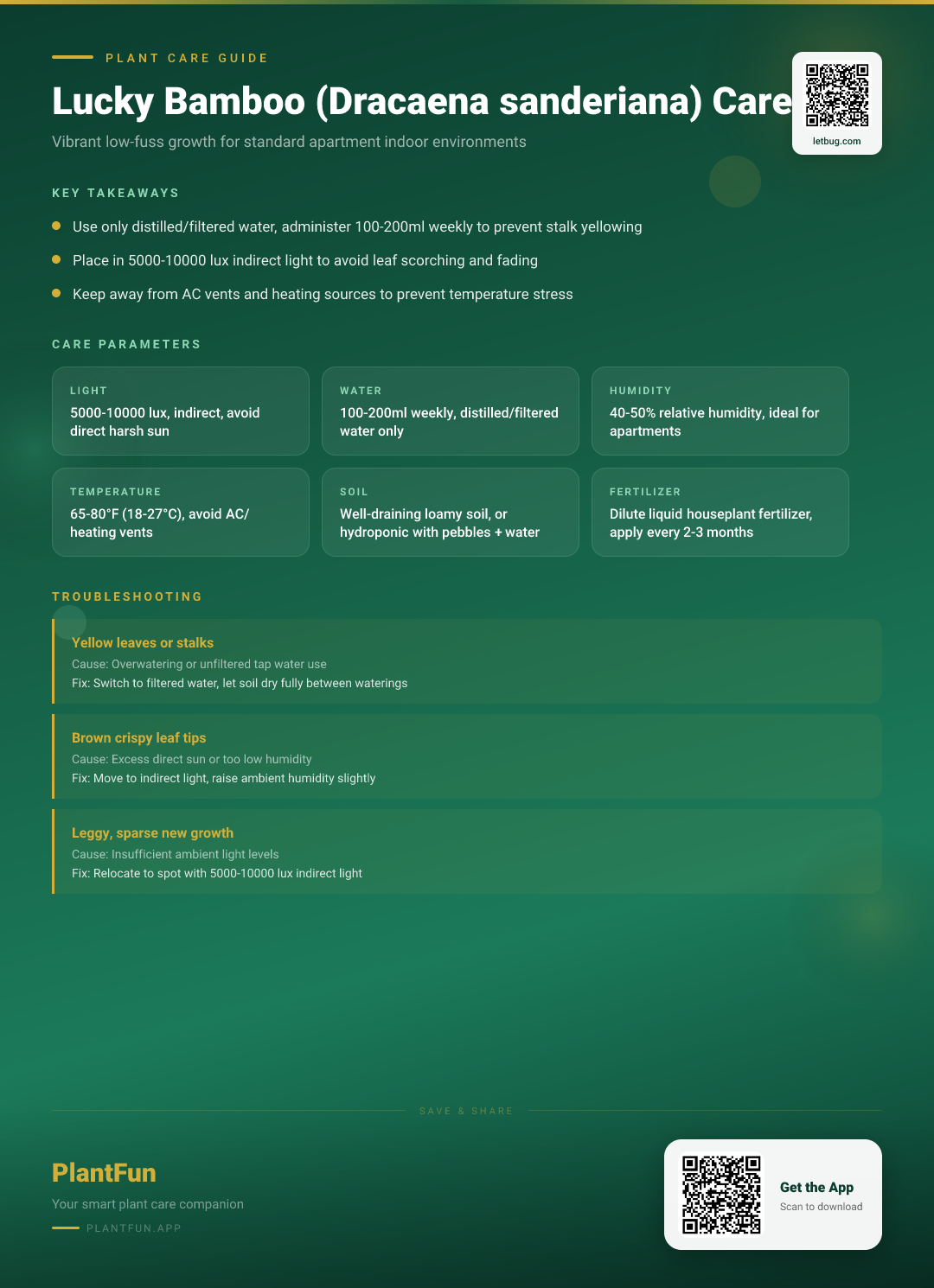 Lucky Bamboo in Apartment Living: 5 Common Mistakes and How to Fix Them — Care Guide for indoor houseplants