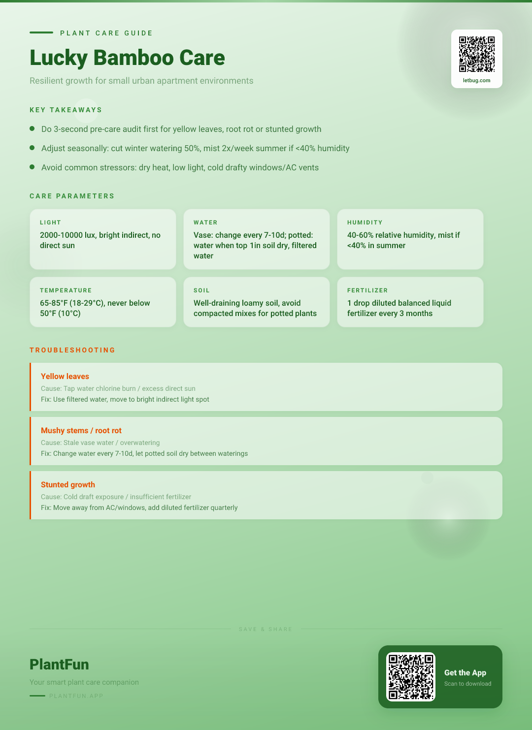 Lucky Bamboo Care Checklist: 8 Tips for Resilient Growth in Small Urban Apartments — Care Guide for indoor houseplants