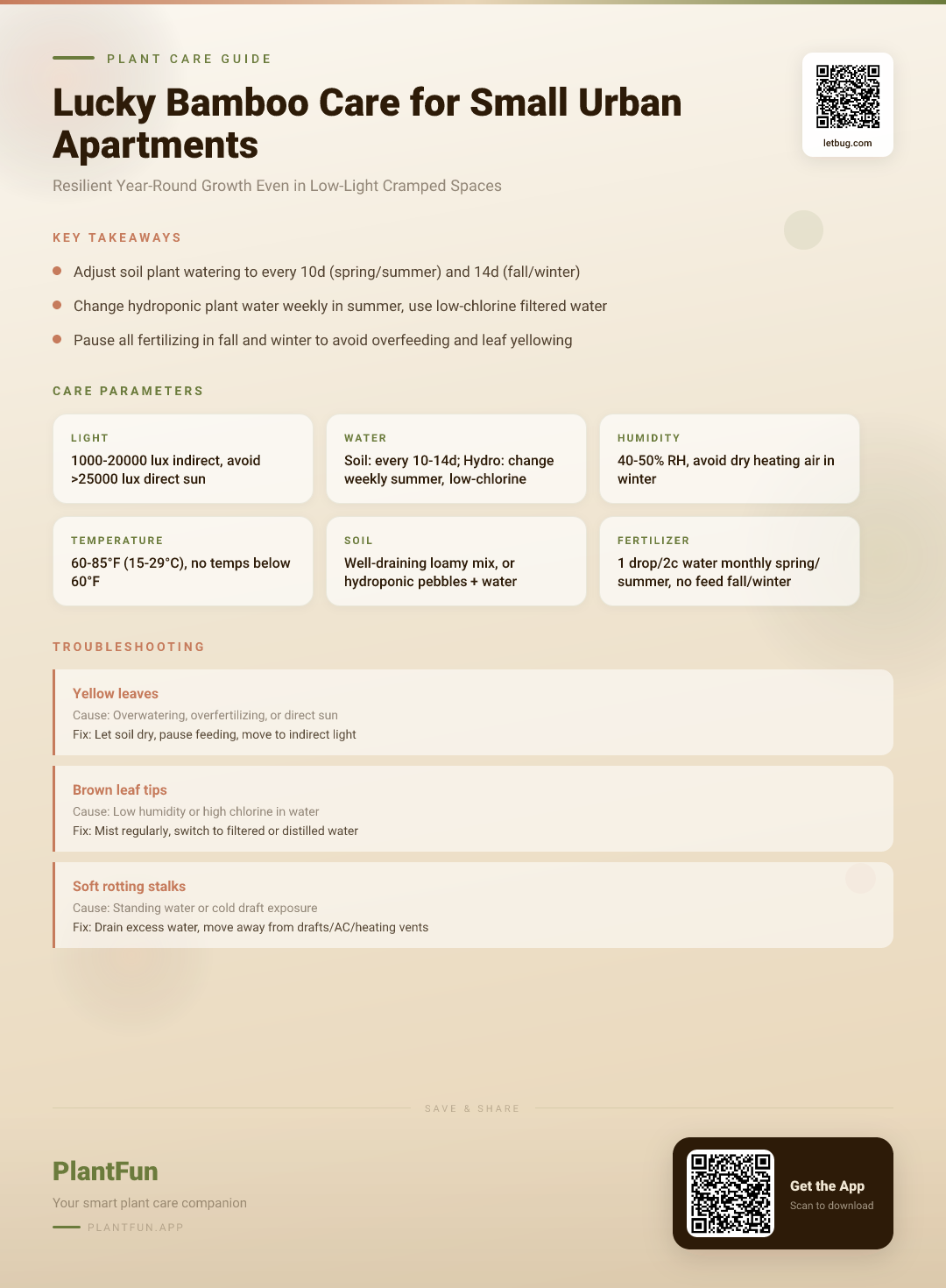 Lucky Bamboo in Small Urban Apartments: Seasonal Care Checklist for Resilient Year-Round Growth — Care Guide for indoor houseplants