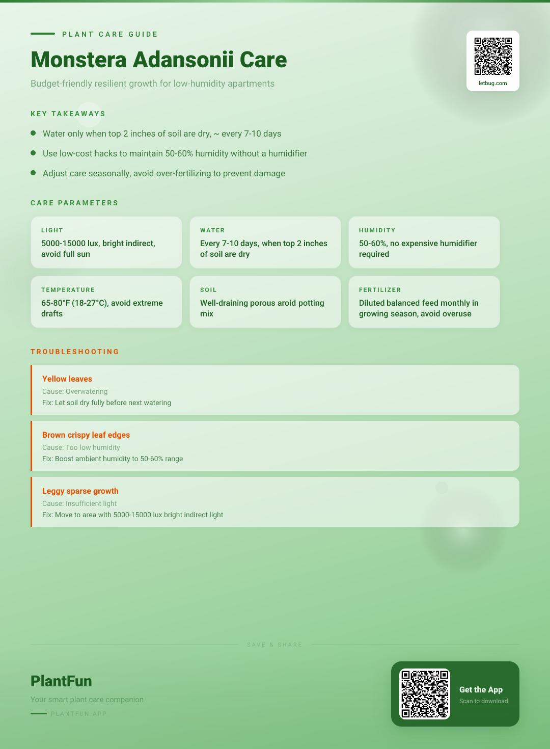 Monstera adansonii in a Low-Humidity Apartment: A Budget-Friendly Guide to Resilient Growth — Care Guide for indoor houseplants