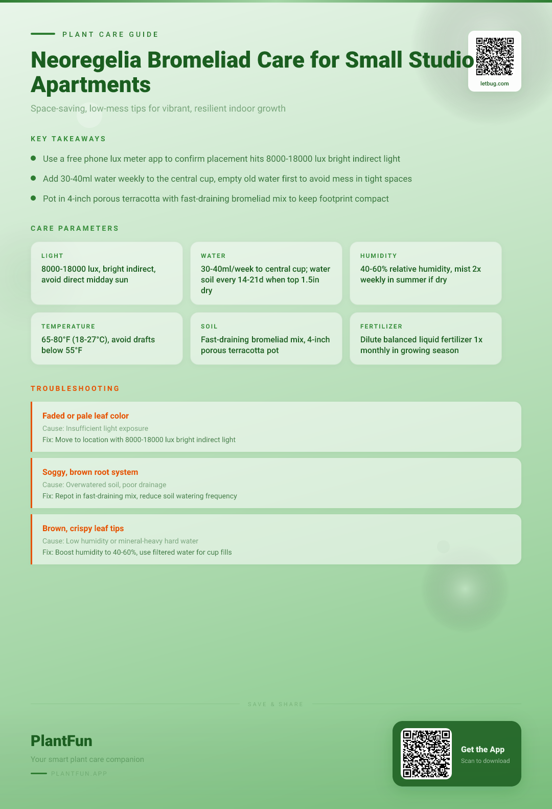 Neoregelia Bromeliad Care Checklist for Resilient Growth in Small Studio Apartments — Care Guide for indoor houseplants