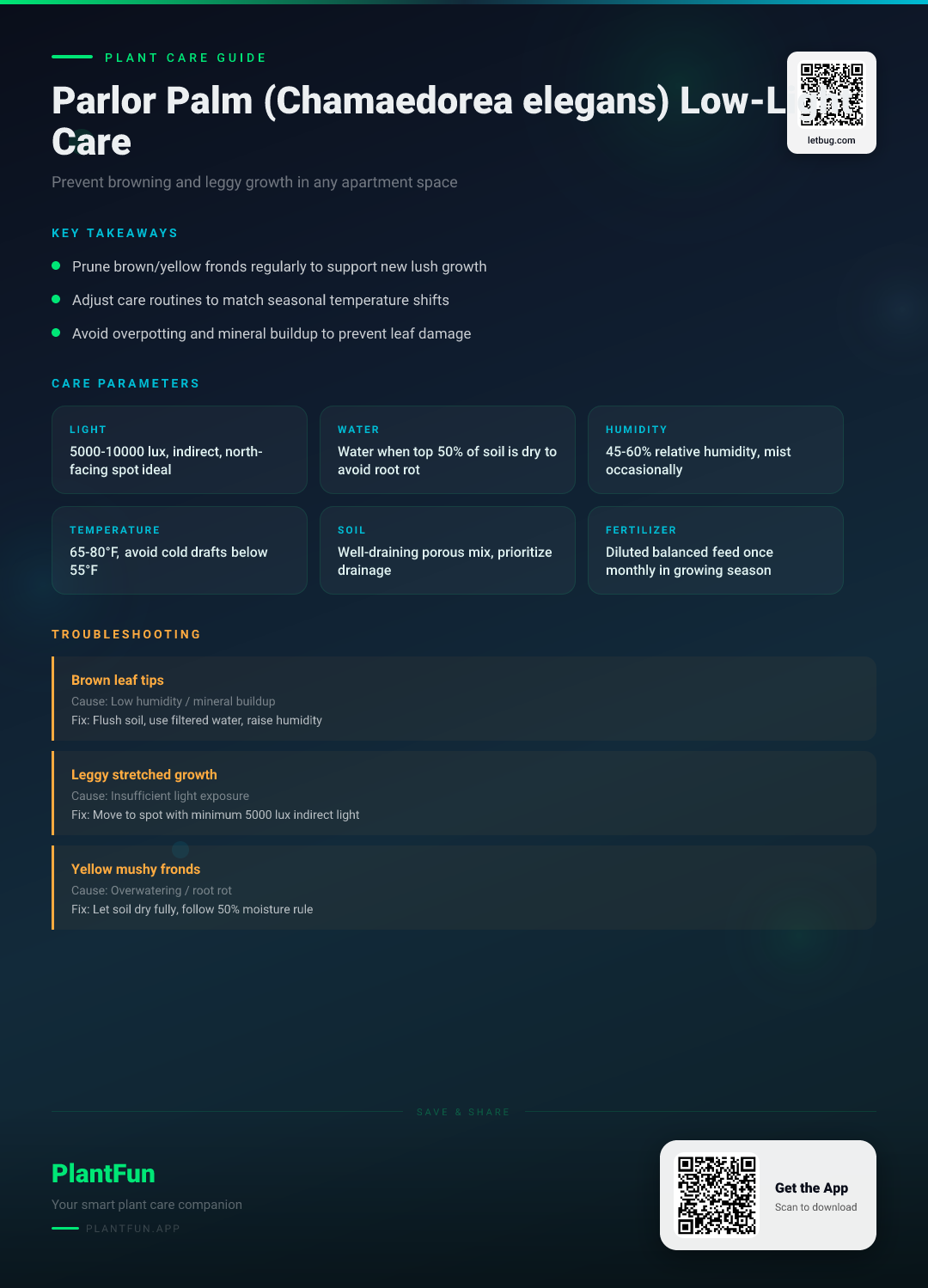 Parlor Palm Care in Low-Light Apartments: How to Prevent Browning and Leggy Growth — Care Guide for indoor houseplants