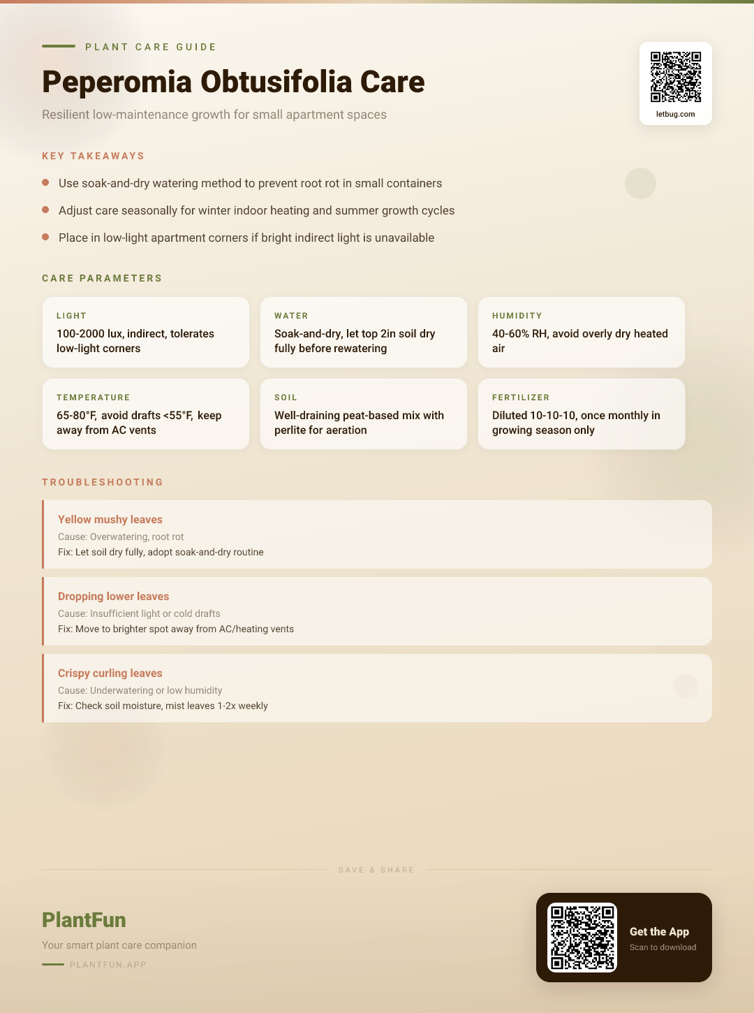 Peperomia obtusifolia in Apartment Living: The Only Care Guide You’ll Ever Need for Resilient Growth — Care Guide for indoor houseplants