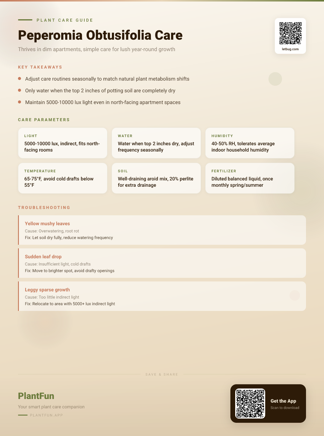 Peperomia obtusifolia in a Low-Light Apartment: The Ultimate Seasonal Growth and Care Guide — Care Guide for indoor houseplants