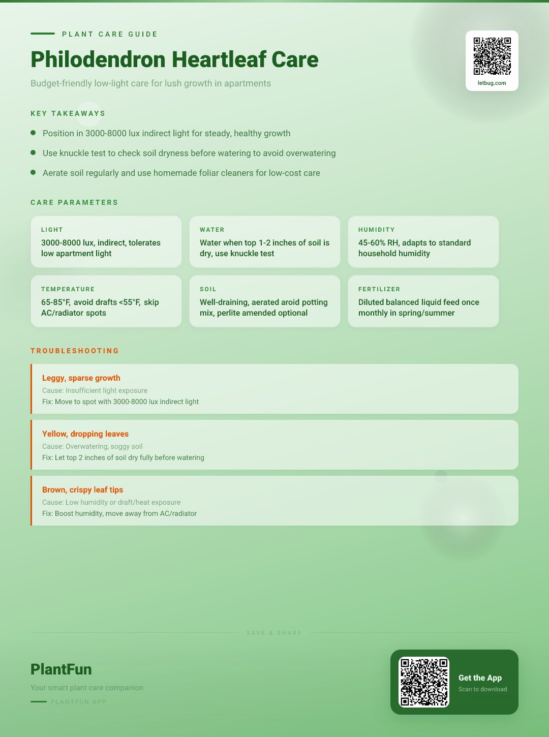 Philodendron Heartleaf in a Dim Apartment: The Complete Budget-Friendly Care Guide — Care Guide for indoor houseplants