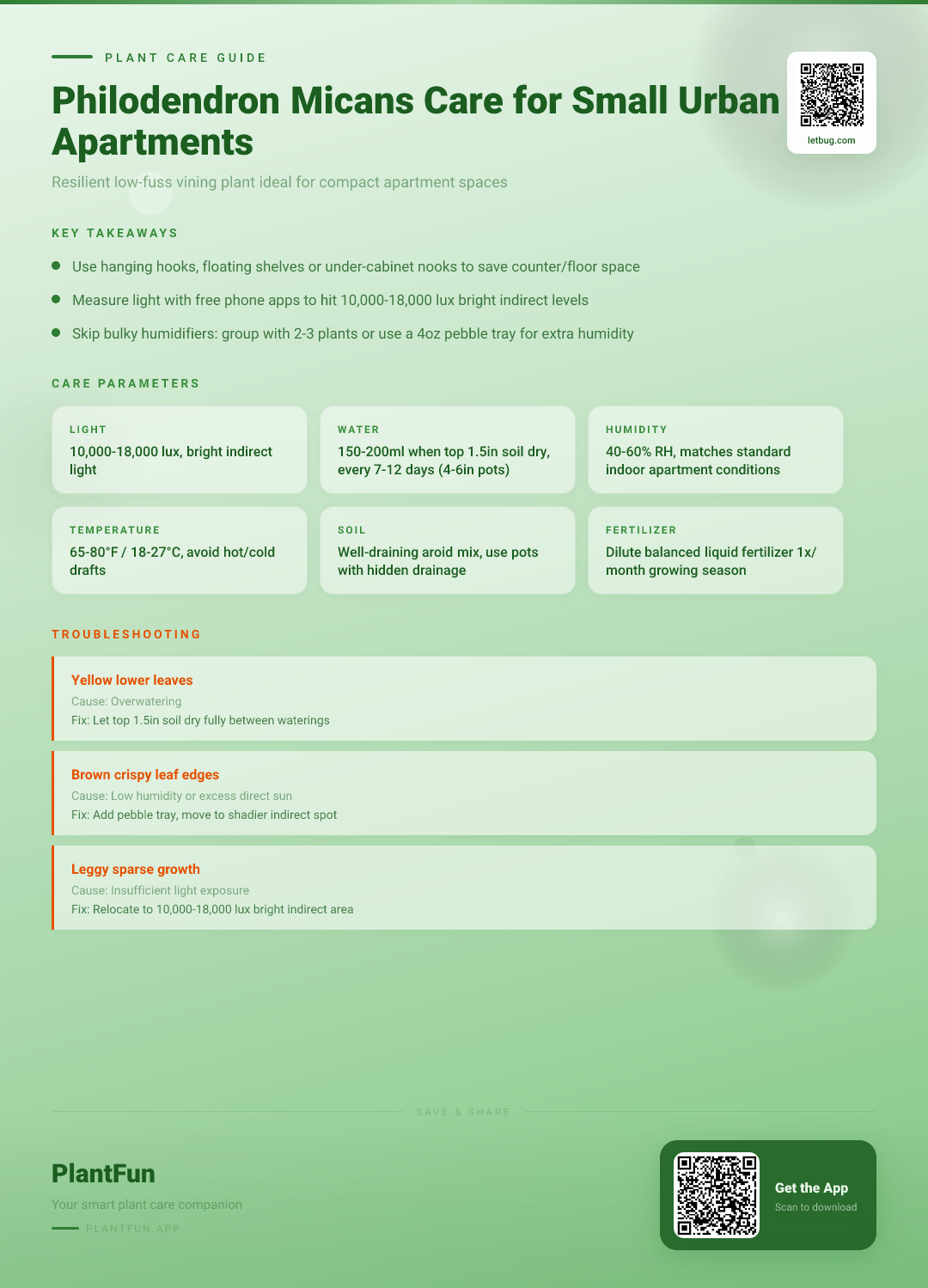 Philodendron Micans in Small Urban Apartments: The Only Resilient Growth Checklist You Need — Care Guide for indoor houseplants