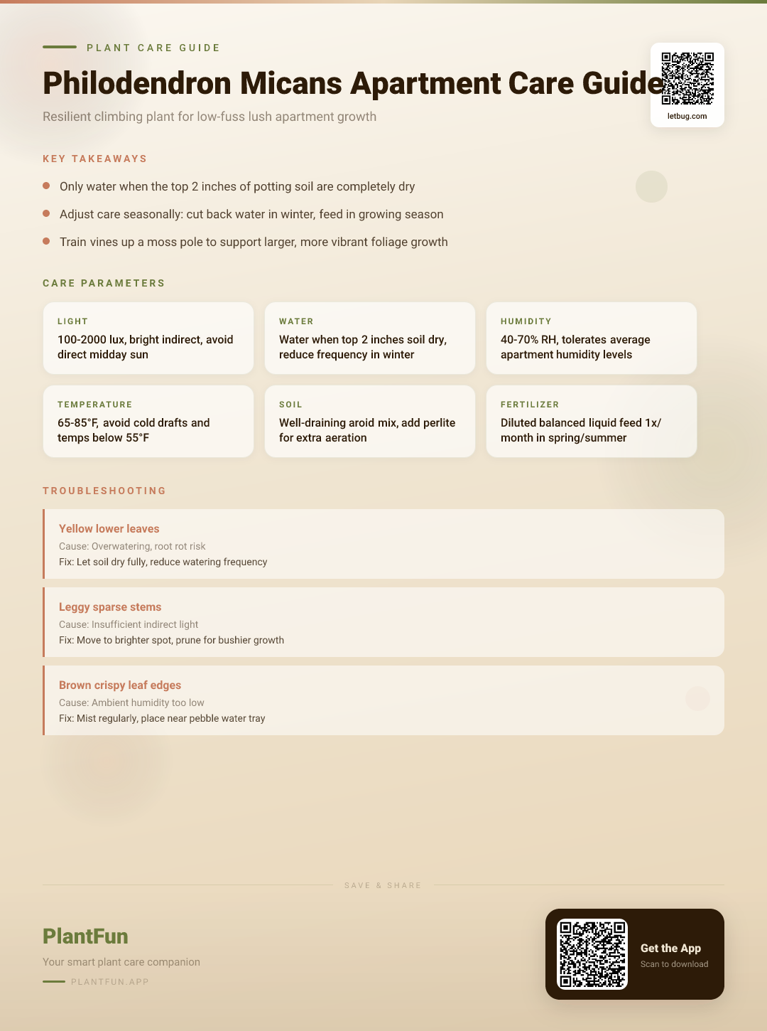 Philodendron Micans in a Standard Apartment: The Complete Care Guide for Resilient Growth — Care Guide for indoor houseplants