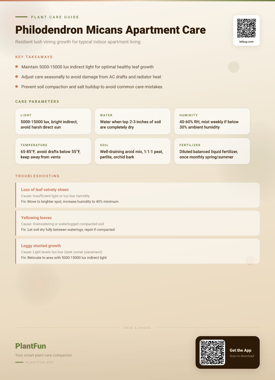 Philodendron Micans in a Typical Apartment: The Complete Care Guide for Resilient Growth — Care Guide for indoor houseplants