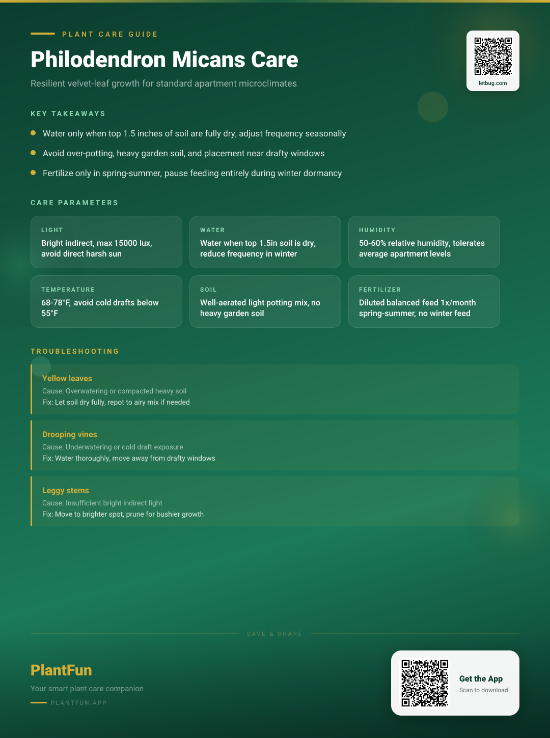Philodendron Micans in a Typical Apartment: The Complete Guide for Resilient Growth — Care Guide for indoor houseplants