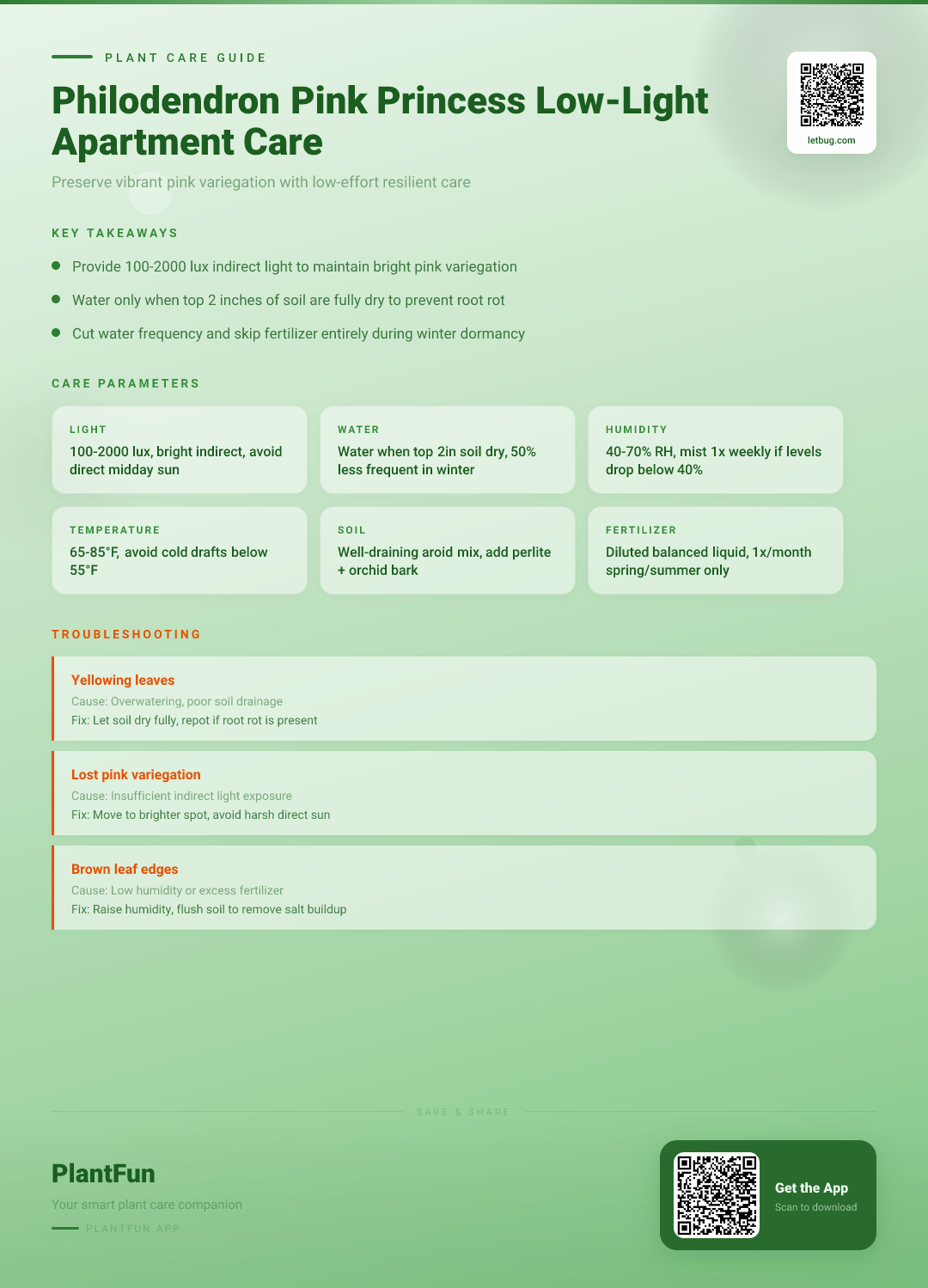 Philodendron Pink Princess in a Low-Light Apartment: The Complete Resilience and Care Guide — Care Guide for indoor houseplants