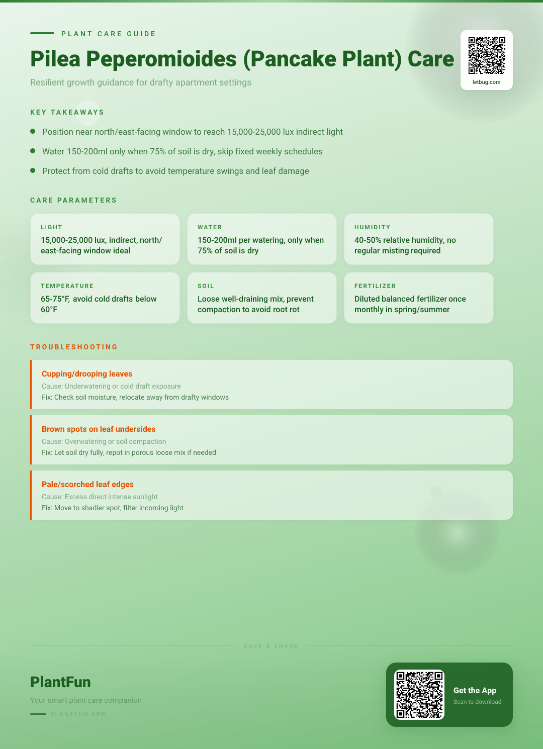 Pilea peperomioides in a Drafty Apartment: The Complete Care Guide for Resilient Growth — Care Guide for indoor houseplants