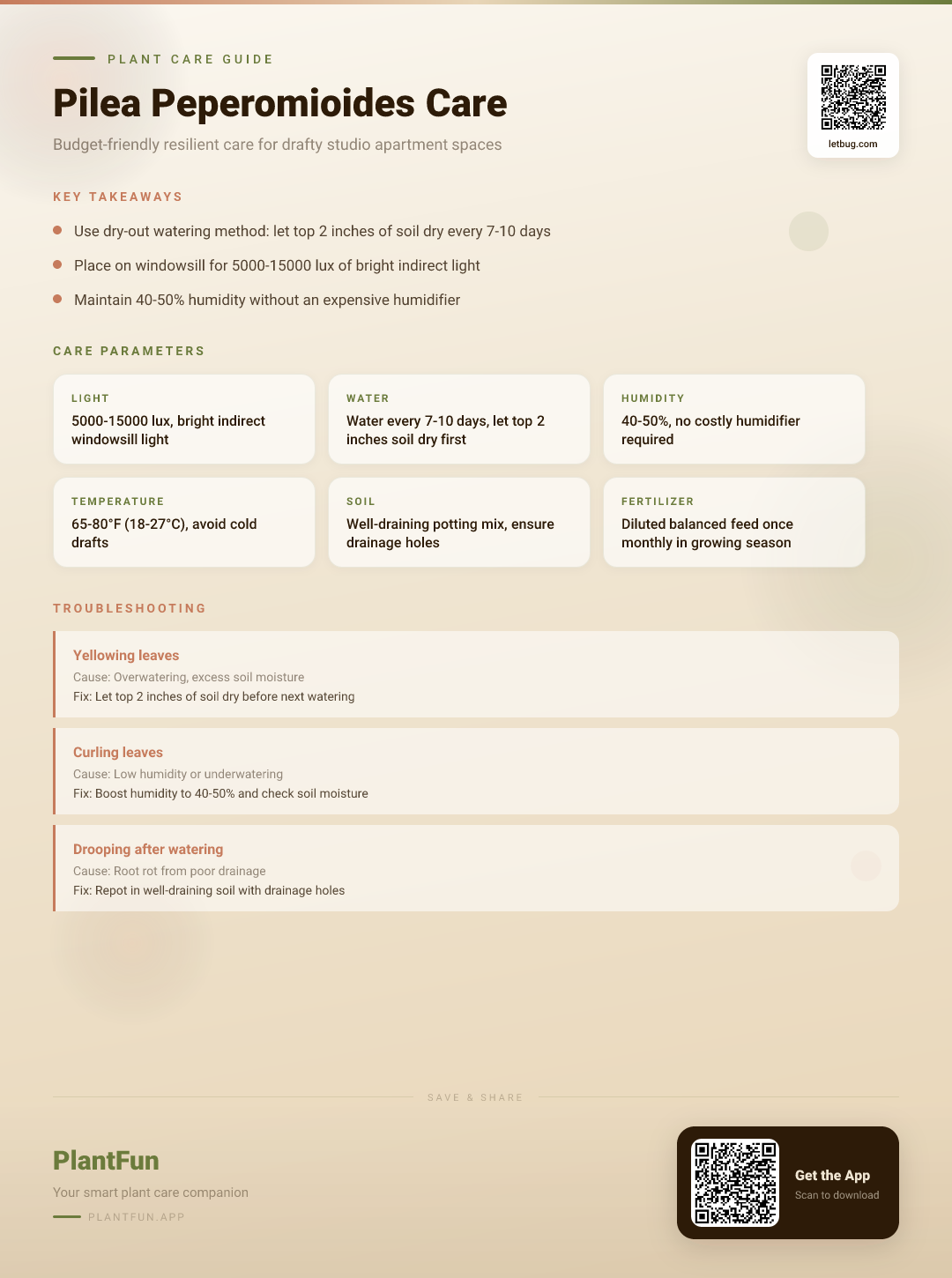 Pilea peperomioides in a Drafty Studio Apartment: A Budget-Friendly Resilience Care Plan — Care Guide for indoor houseplants