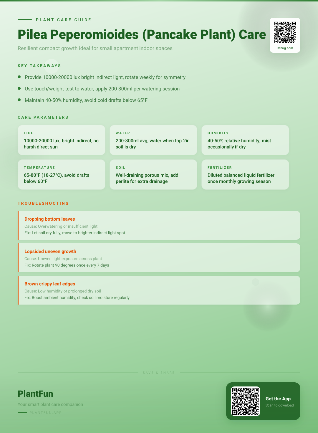 Pilea Peperomioides in a Small Apartment: The Ultimate Care Guide for Resilient Growth — Care Guide for indoor houseplants