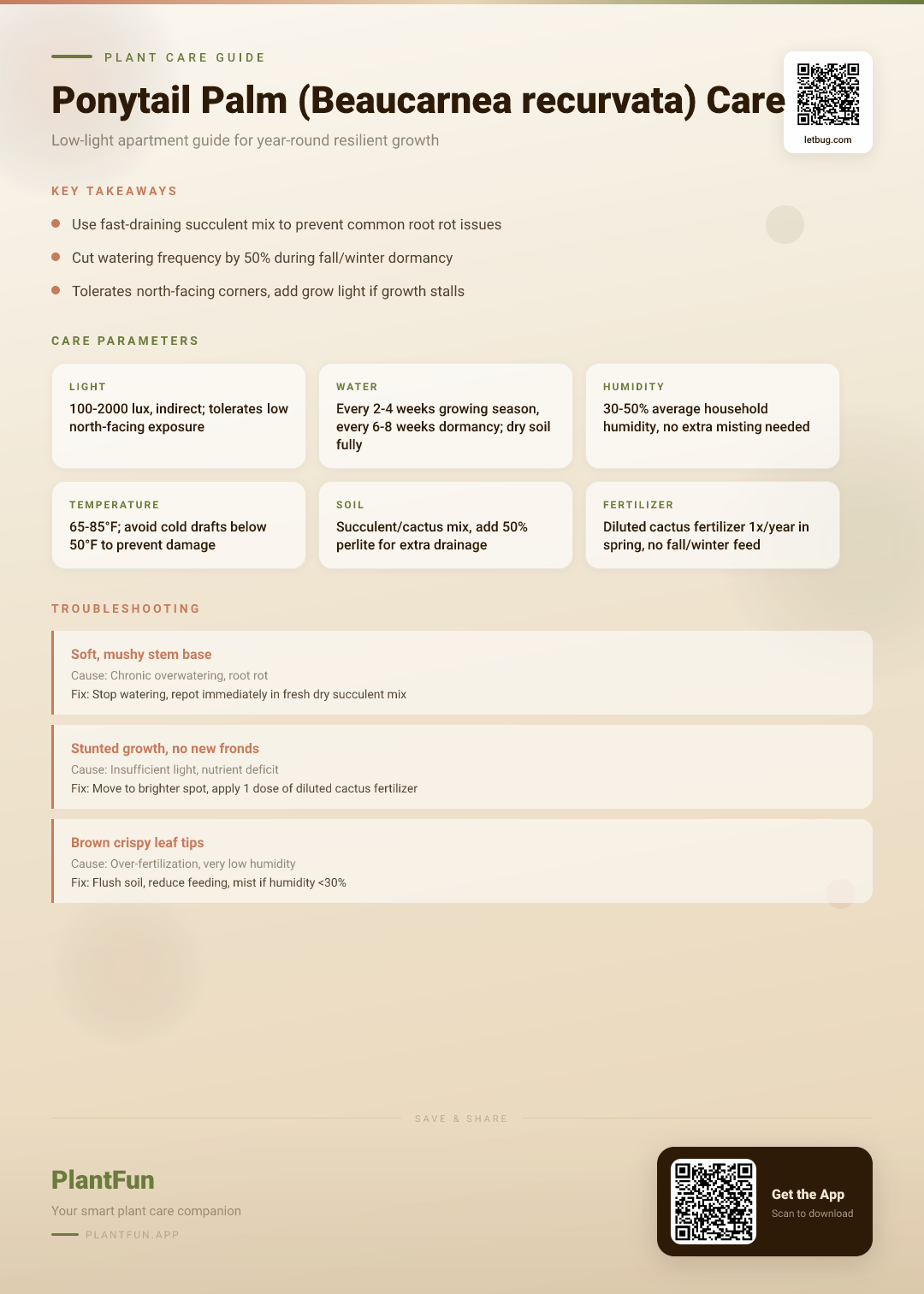 Ponytail Palm in a Low-Light Apartment: The Complete Seasonal Care Guide for Resilience — Care Guide for indoor houseplants