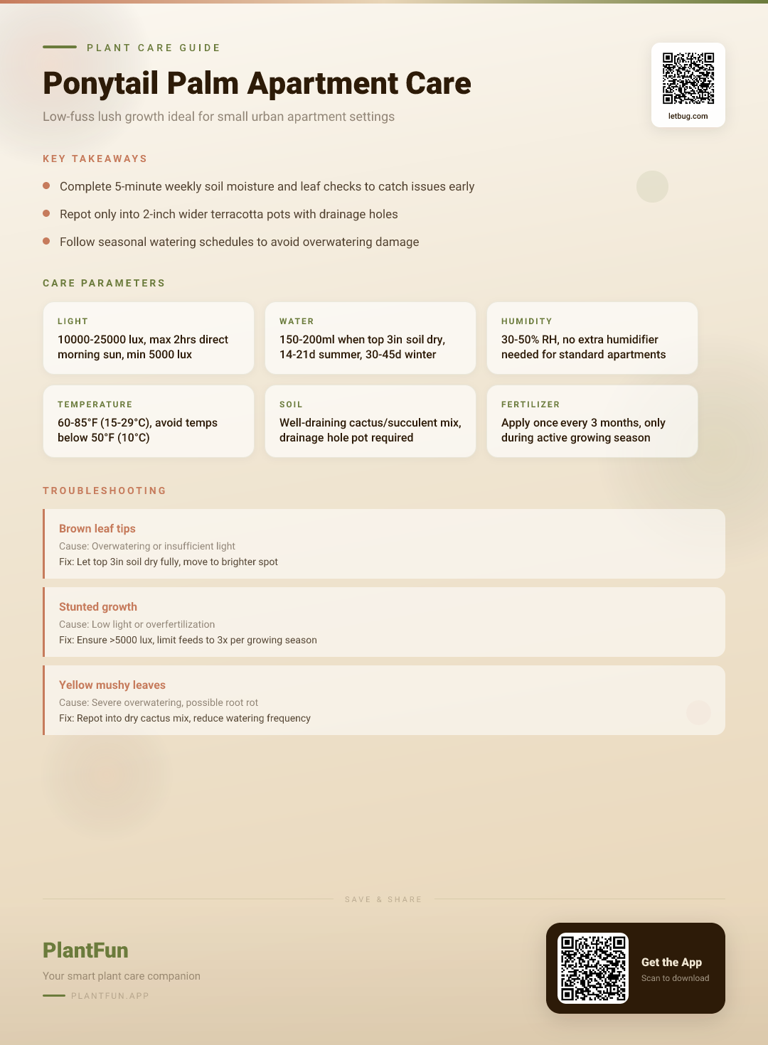 Ponytail Palm in Typical Apartments: The Only Care Checklist You'll Ever Need — Care Guide for indoor houseplants