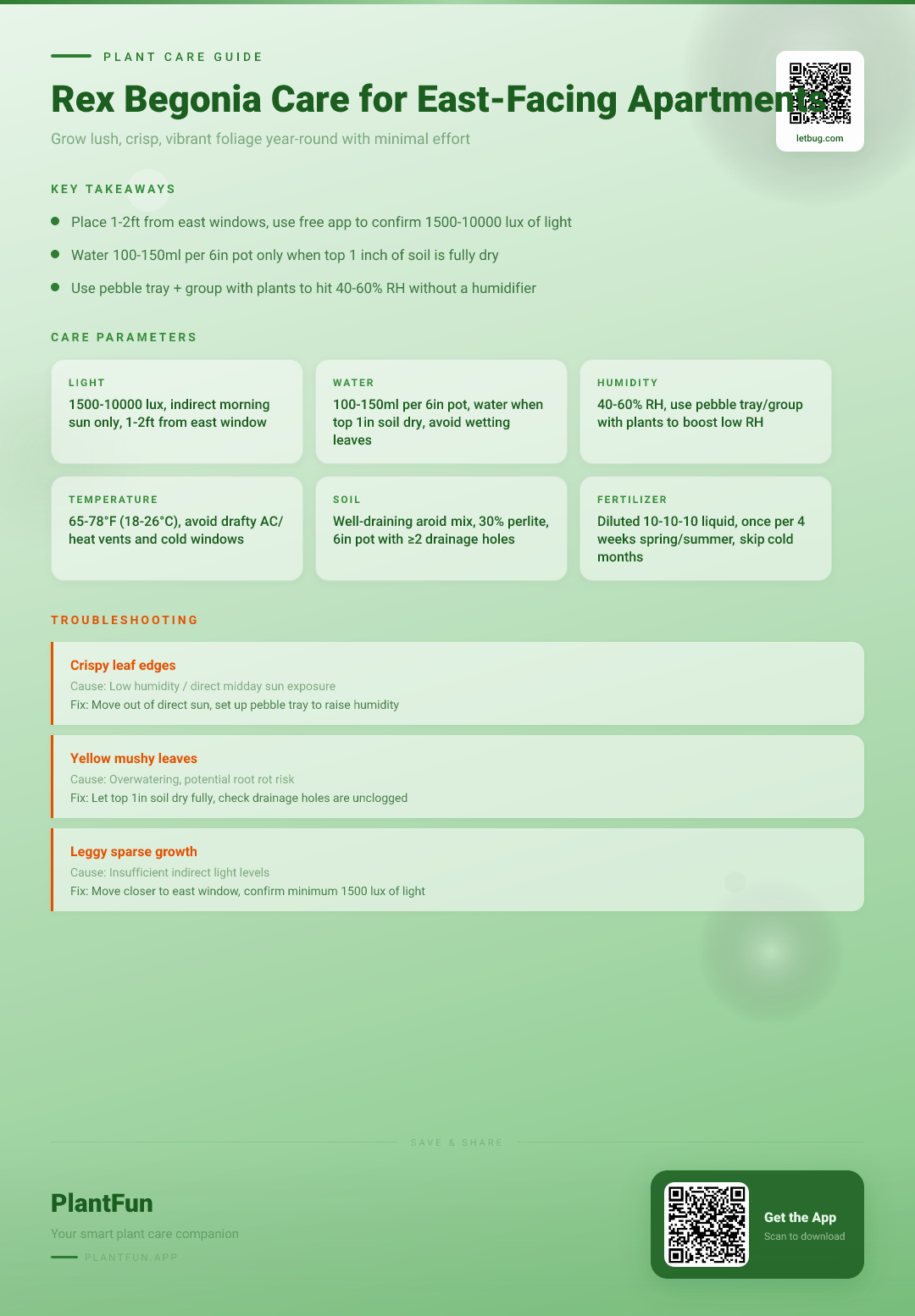 Rex Begonia Care Checklist for East-Facing Apartments: Grow Lush, Crisp Leaves Year-Round — Care Guide for indoor houseplants