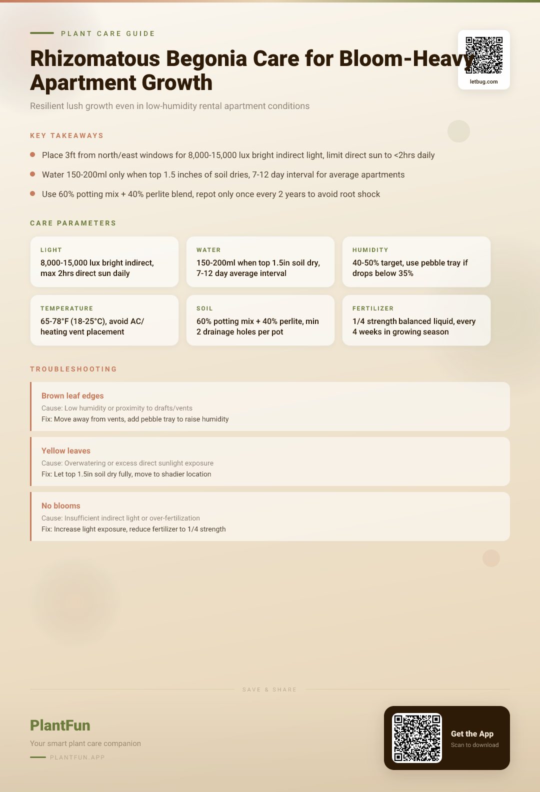 Rhizomatous Begonia Care Checklist for Resilient, Bloom-Heavy Growth in Typical Low-Humidity Apartments — Care Guide for indoor houseplants