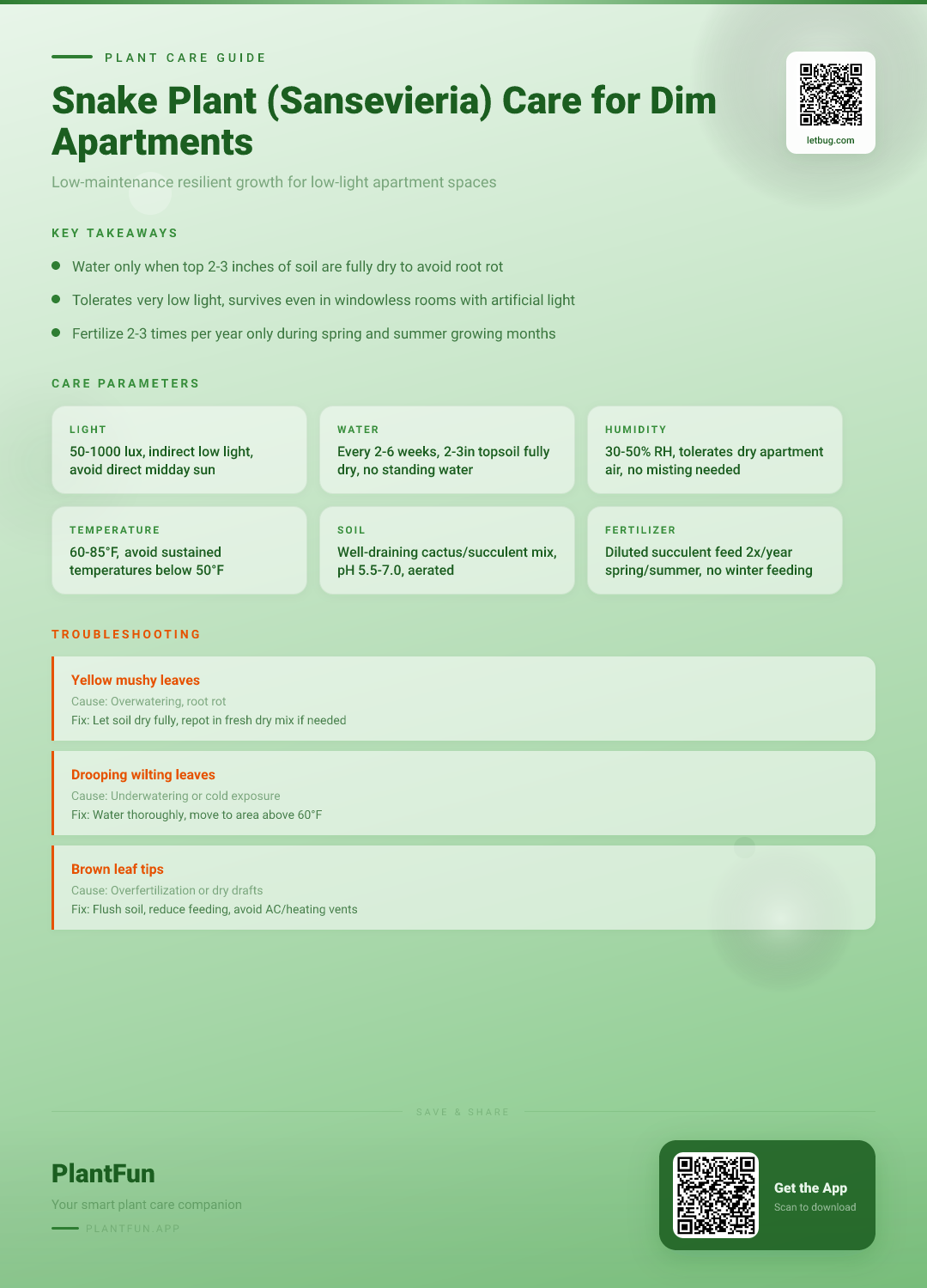 Snake Plant Care in Dim Apartments: The 5-Step Resilient Growth Checklist for Success — Care Guide for indoor houseplants