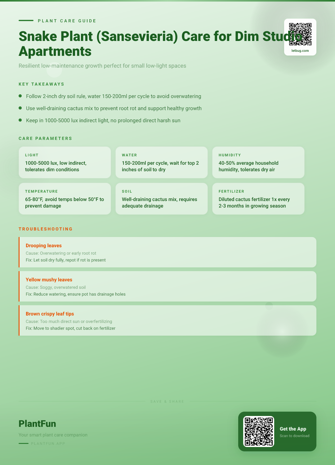 Snake Plant Care in Dim Studio Apartments: The Complete Guide for Resilient Growth — Care Guide for indoor houseplants