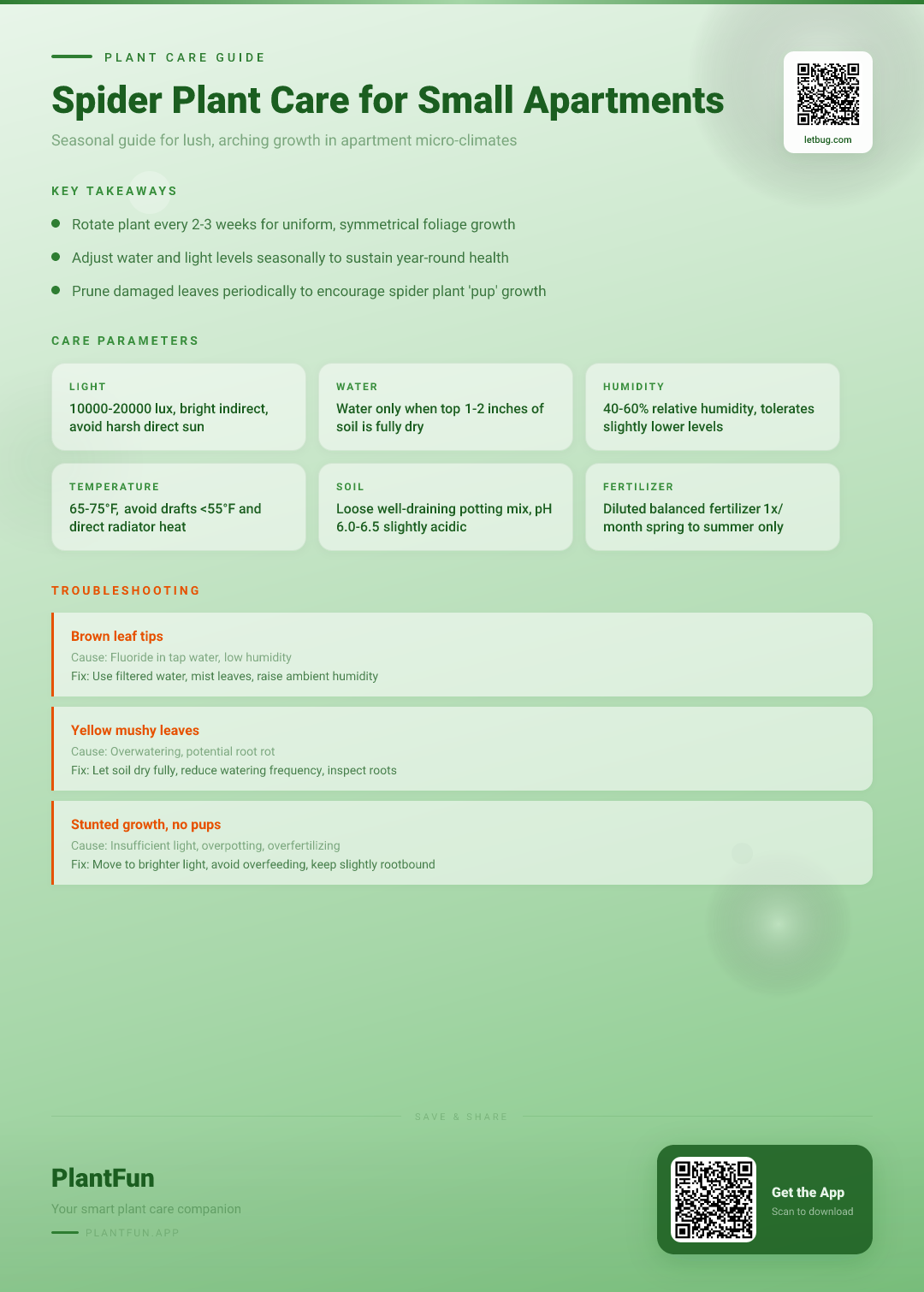 Spider Plant Care in Small Apartments: A Seasonal Guide for Resilient, Arching Growth — Care Guide for indoor houseplants