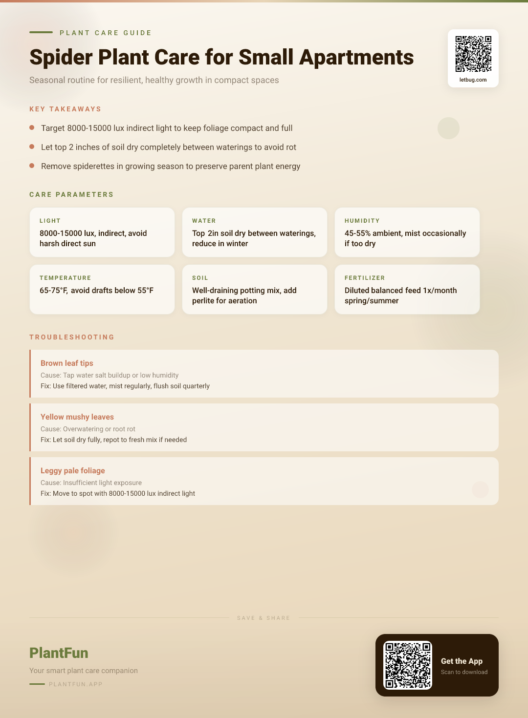 Spider Plant Care for Small Apartments: A Seasonal Routine for Resilient, Healthy Growth — Care Guide for indoor houseplants