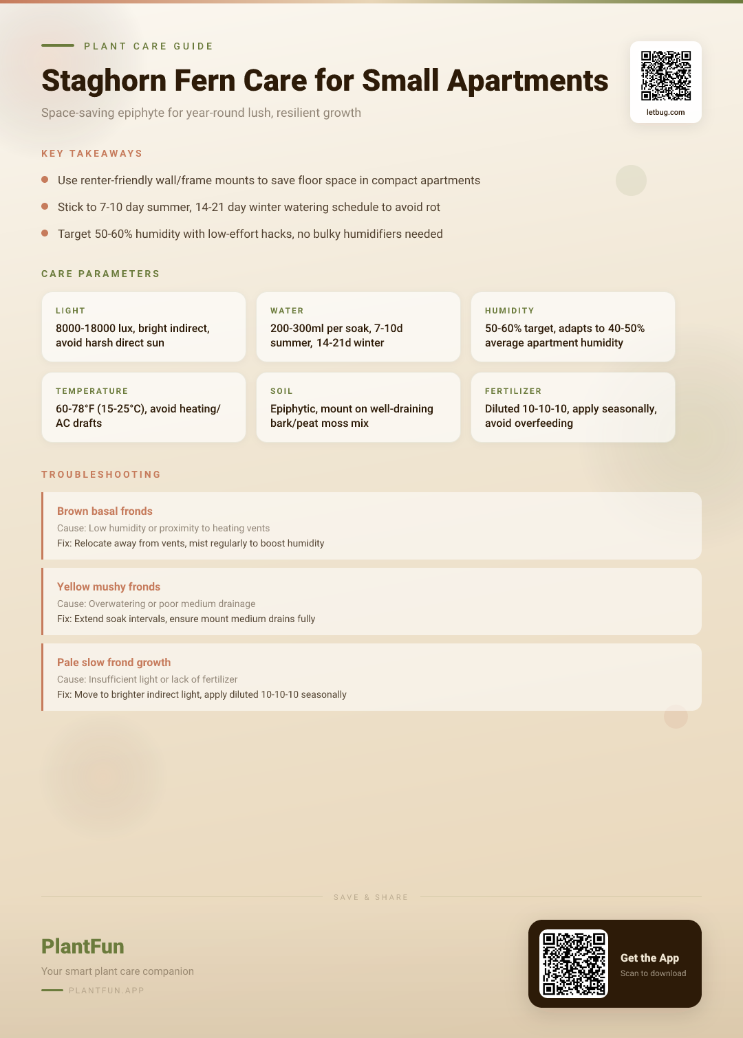 Staghorn Fern Care Checklist for Small Apartments: Get Lush, Resilient Growth Year-Round — Care Guide for indoor houseplants