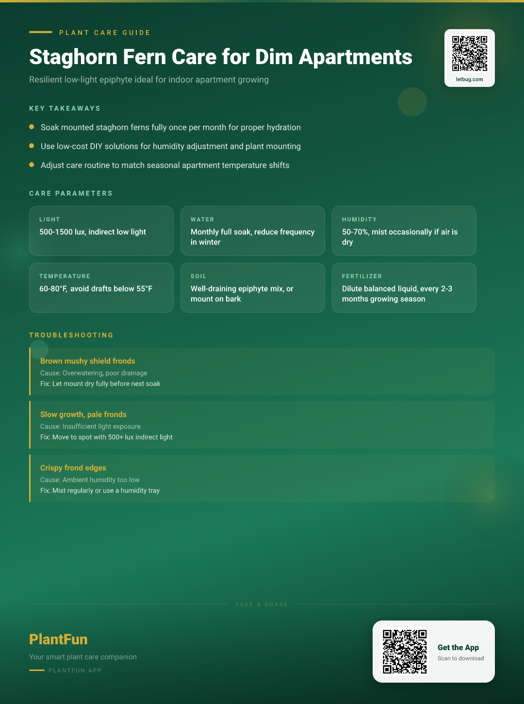 Staghorn Fern in a Dim Apartment: The Complete Care Guide for Low-Light Resilience — Care Guide for indoor houseplants