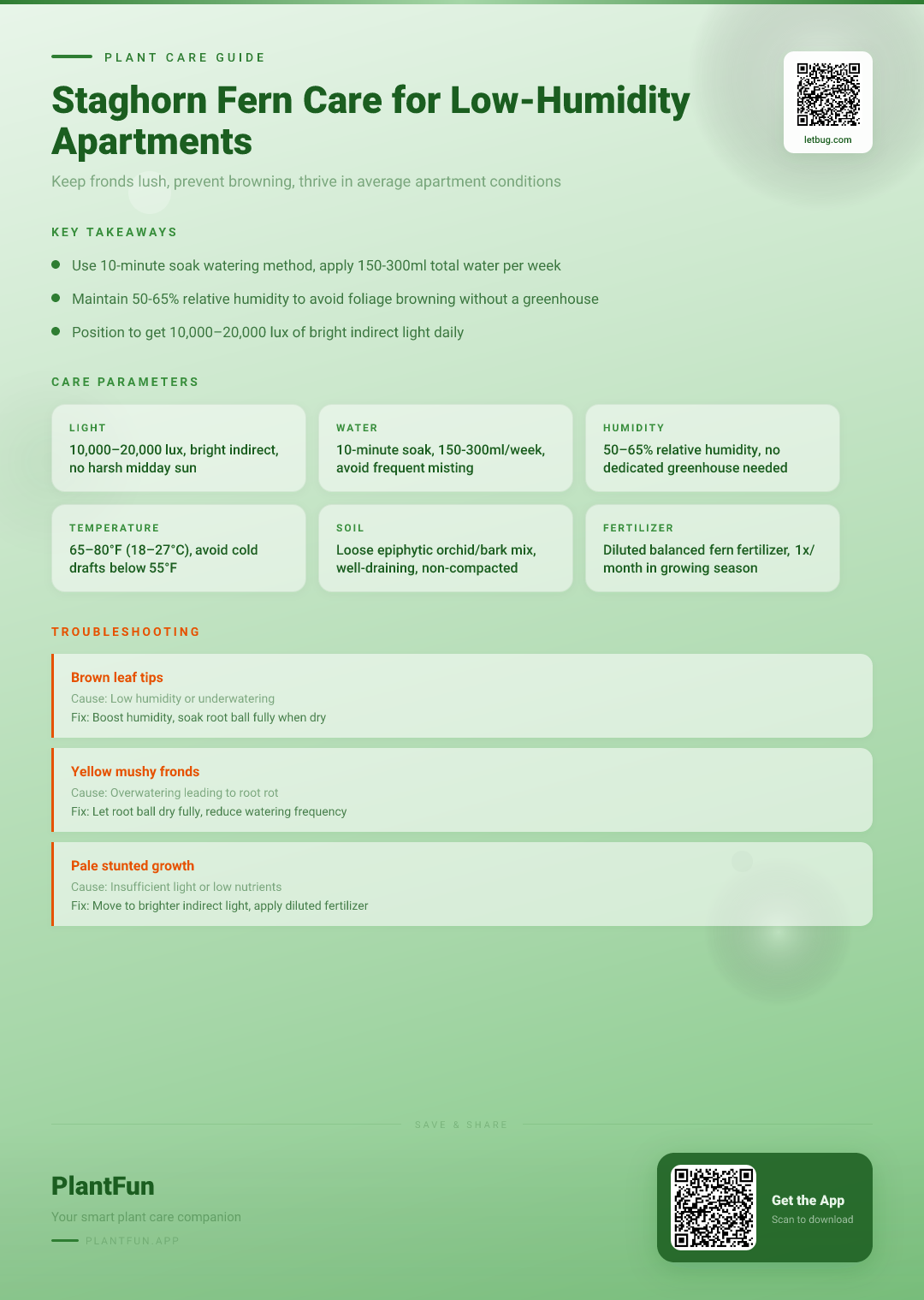 Staghorn Fern in a Low-Humidity Apartment: The Complete Resilience and Care Guide — Care Guide for indoor houseplants