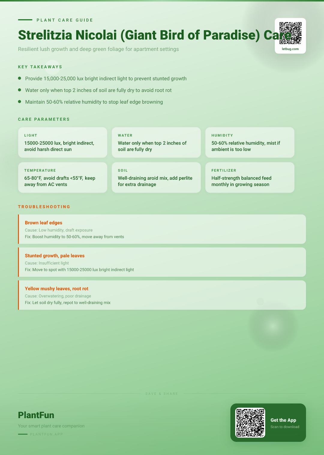 Strelitzia nicolai in Apartments: The Complete Care Guide for Resilient Growth and Lush Leaves — Care Guide for indoor houseplants