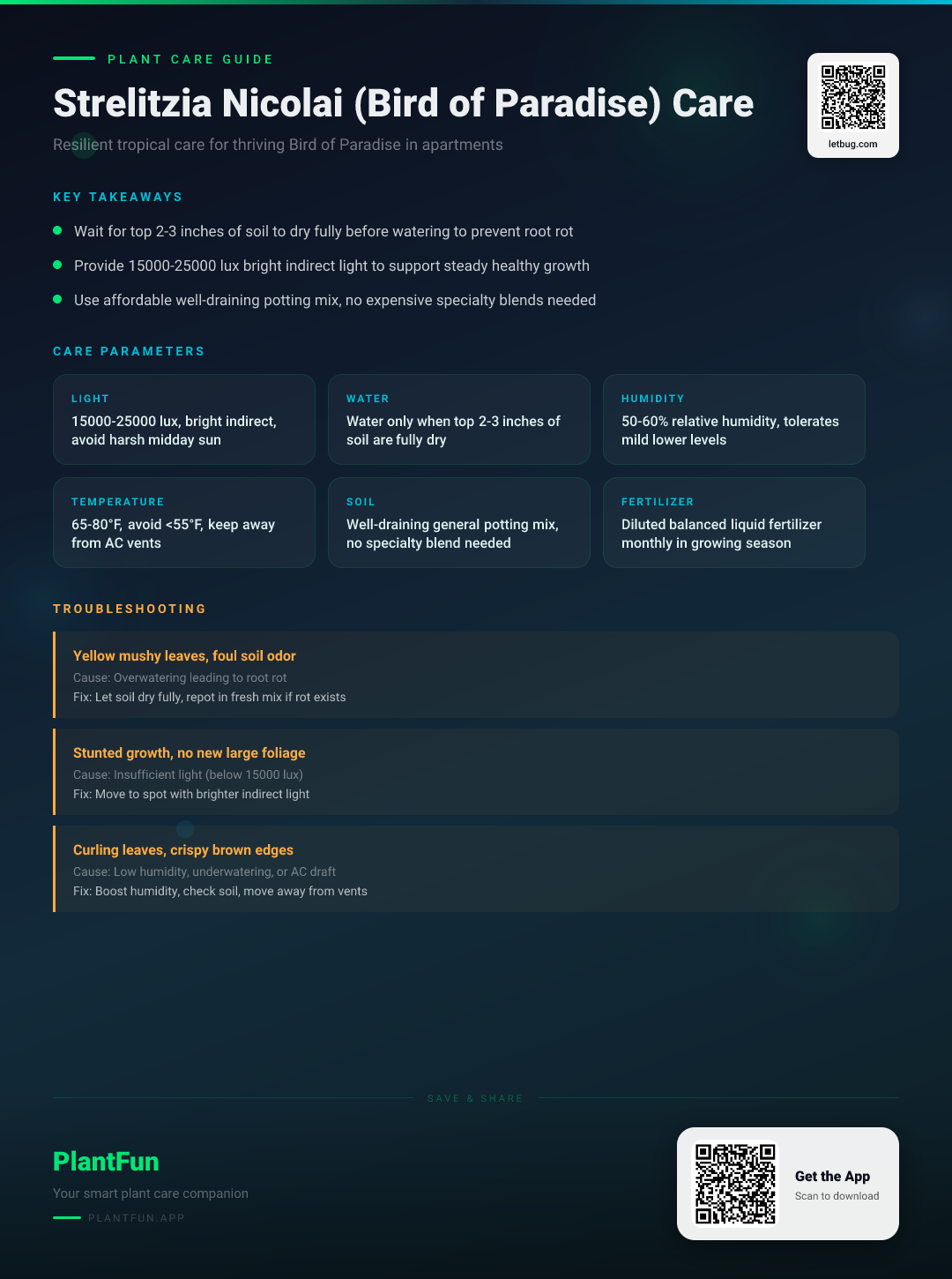 Strelitzia nicolai in Apartments: The Only Resilient Care Guide You Will Ever Need — Care Guide for indoor houseplants