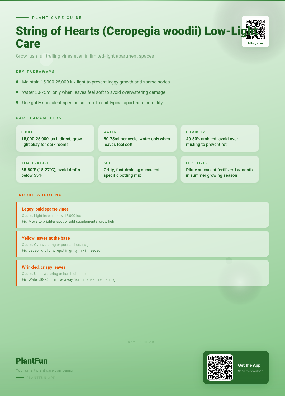 String of Hearts Care in Dim Apartments: The 5-Step Path to Thriving Long Vines — Care Guide for indoor houseplants