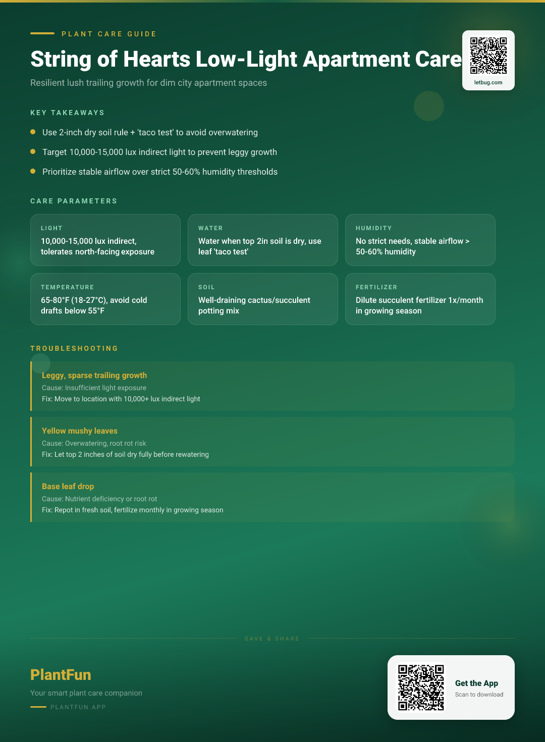 String of Hearts in Low-Light Apartments: The Ultimate Resilient Growth Care Guide — Care Guide for indoor houseplants