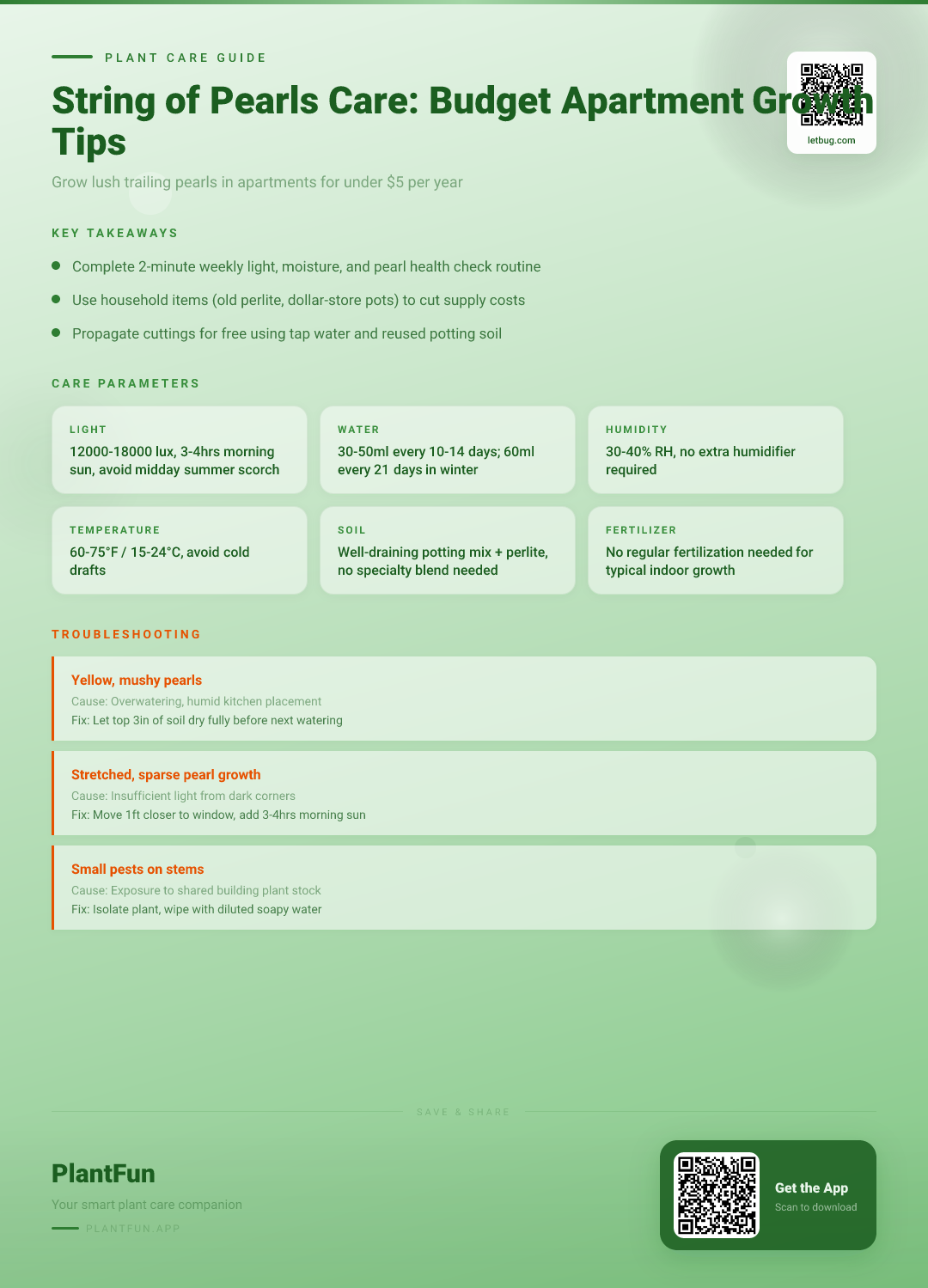 String of Pearls Care Checklist: Budget Tips for Resilient Growth in Typical Apartments — Care Guide for indoor houseplants