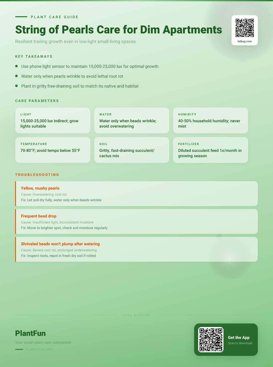 String of Pearls in a Dim Apartment: The Ultimate Care Guide for Resilient Growth — Care Guide for indoor houseplants