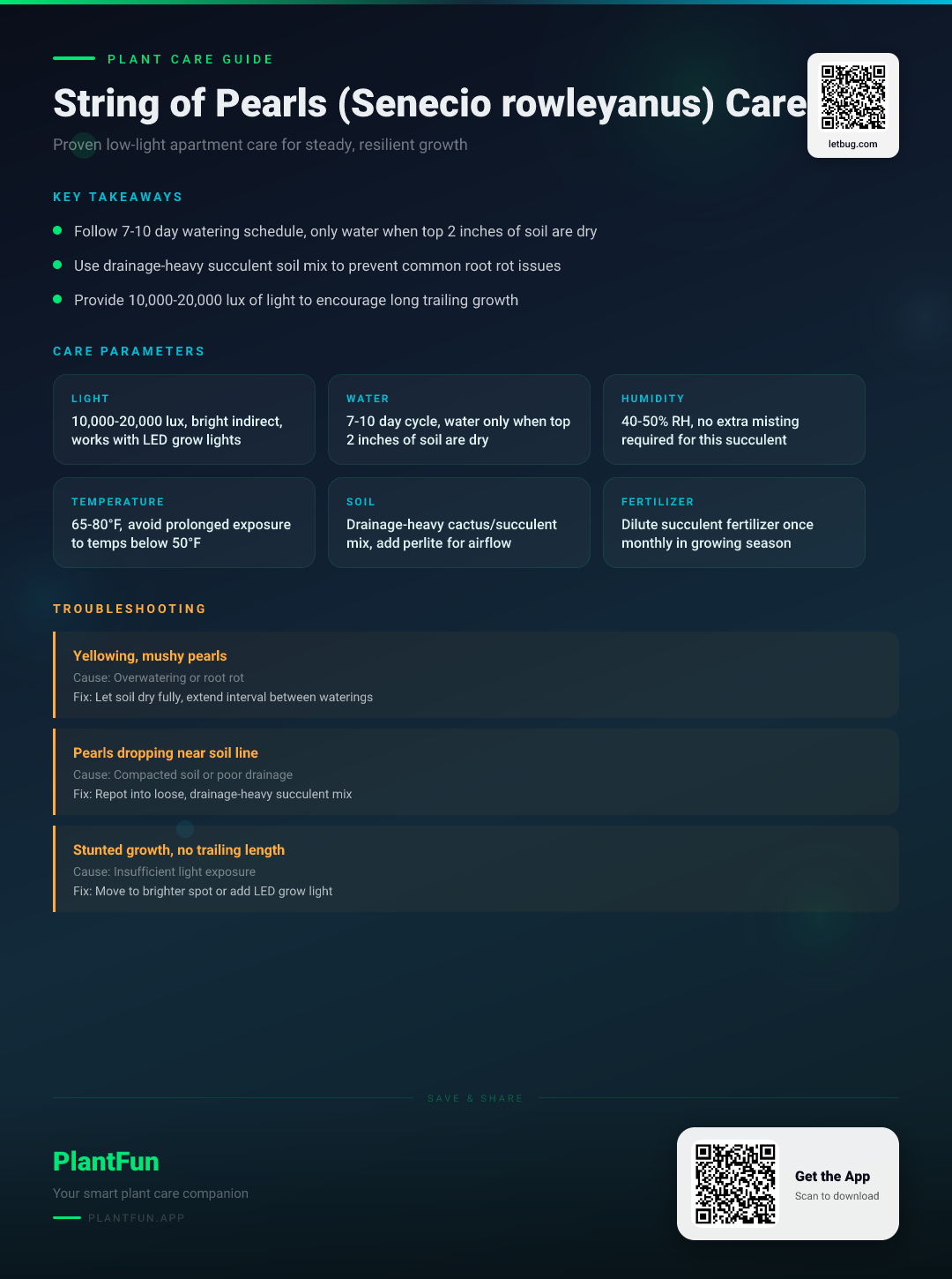 String of Pearls in a Low-Light Apartment: The Definitive Care Guide for Resilient Growth — Care Guide for indoor houseplants