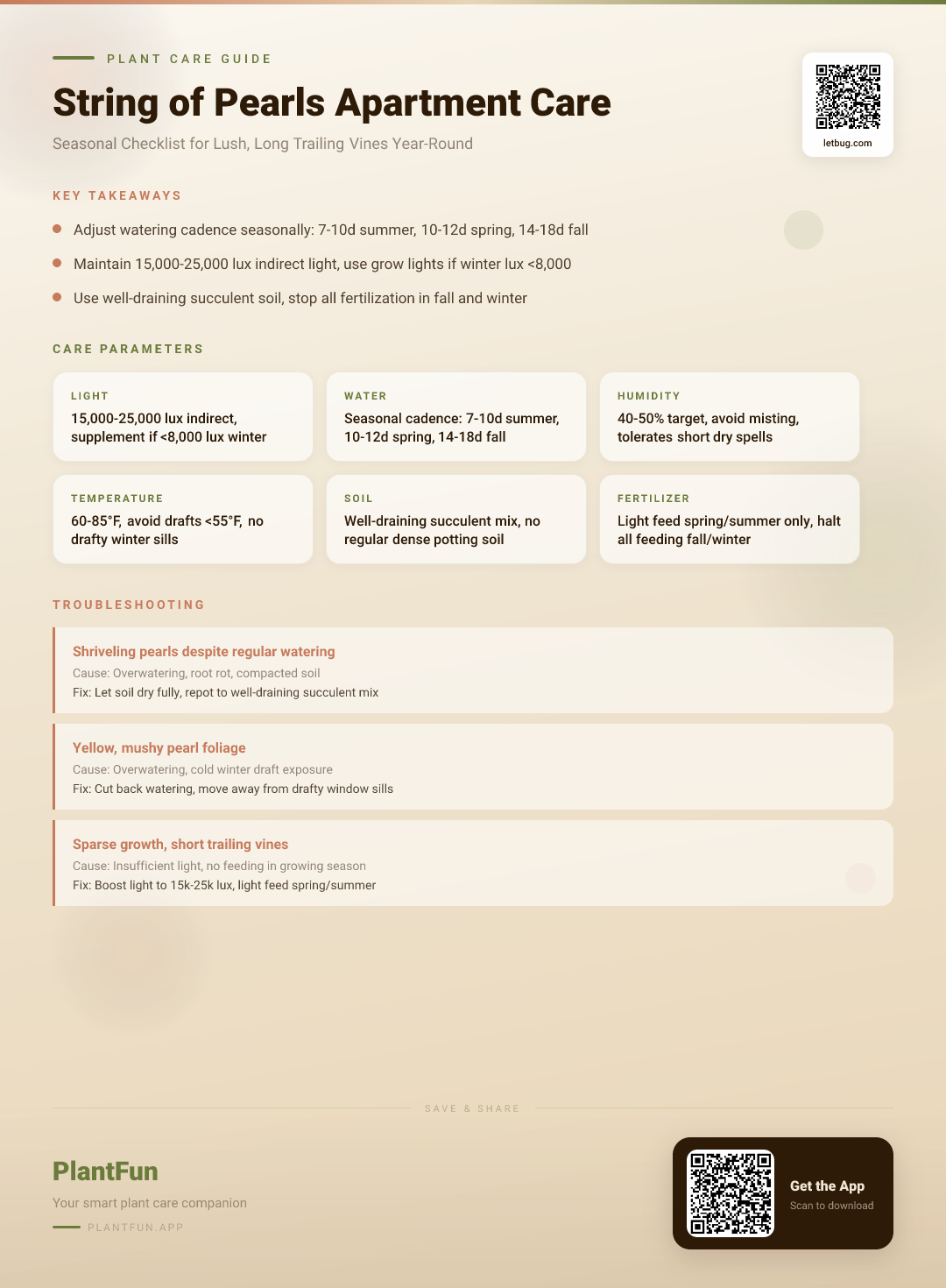 String of Pearls in a Typical Apartment: The Seasonal Care Checklist for Resilient Growth — Care Guide for indoor houseplants