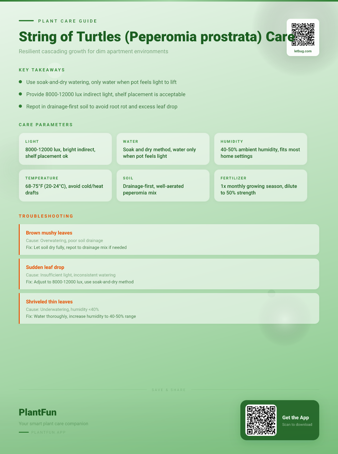 String of Turtles in a Dim Apartment: The Complete Care Guide for Resilient Growth — Care Guide for indoor houseplants