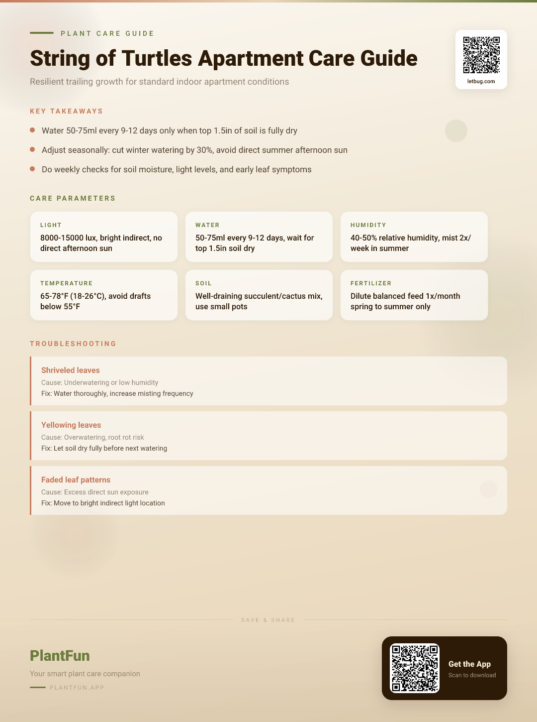 String of Turtles in Standard Apartments: The Complete Checklist for Resilient Trailing Growth — Care Guide for indoor houseplants