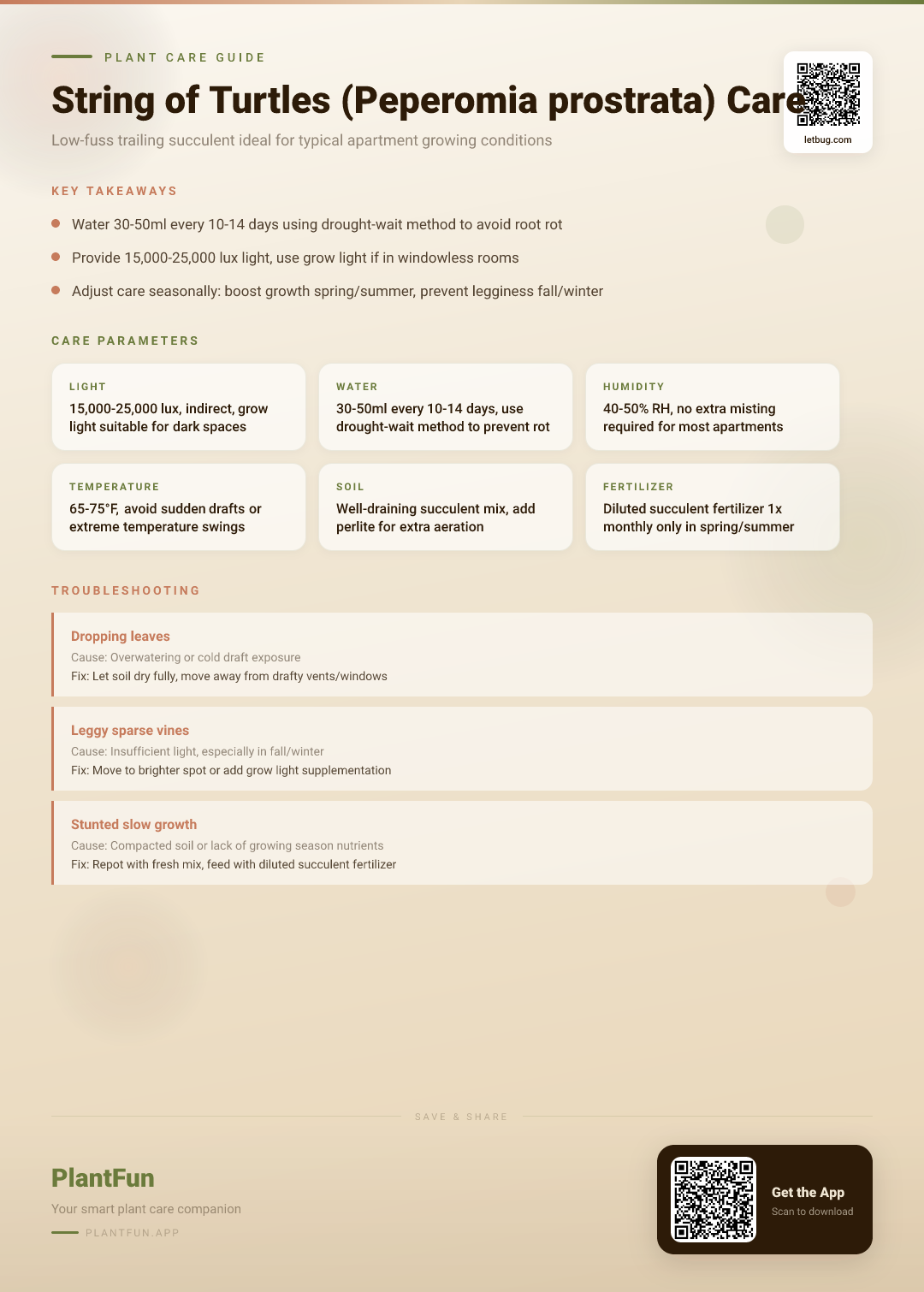 String of Turtles in a Typical Apartment: The Complete Seasonal Care Guide — Care Guide for indoor houseplants