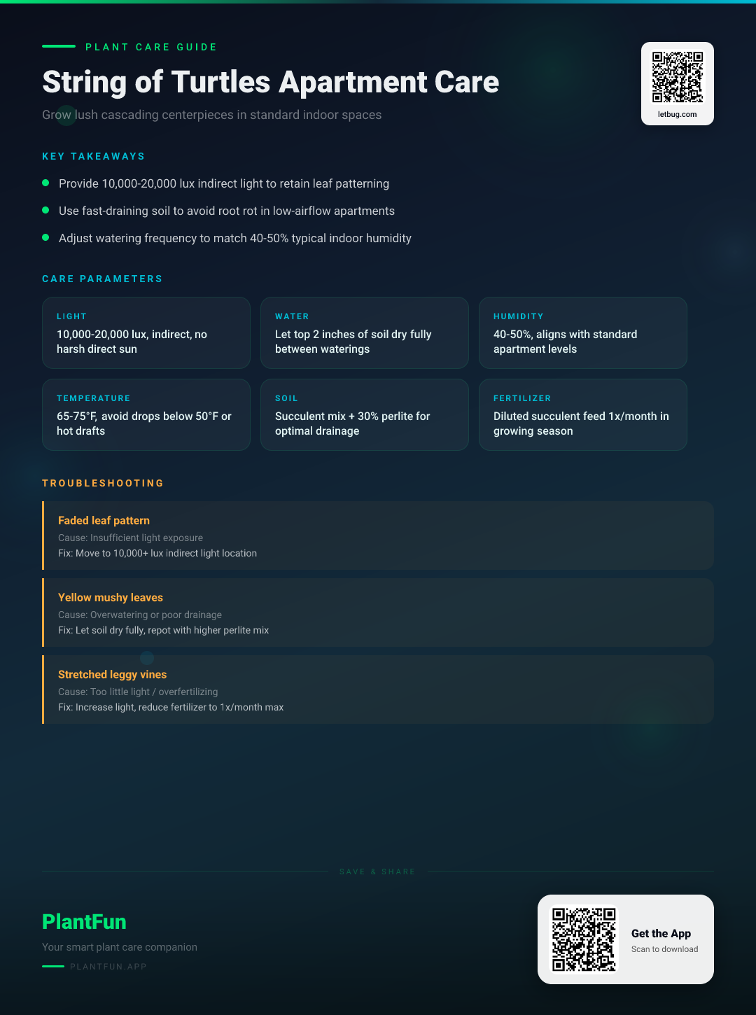 String of Turtles in a Typical Apartment: The Only Care Guide You’ll Ever Need — Care Guide for indoor houseplants