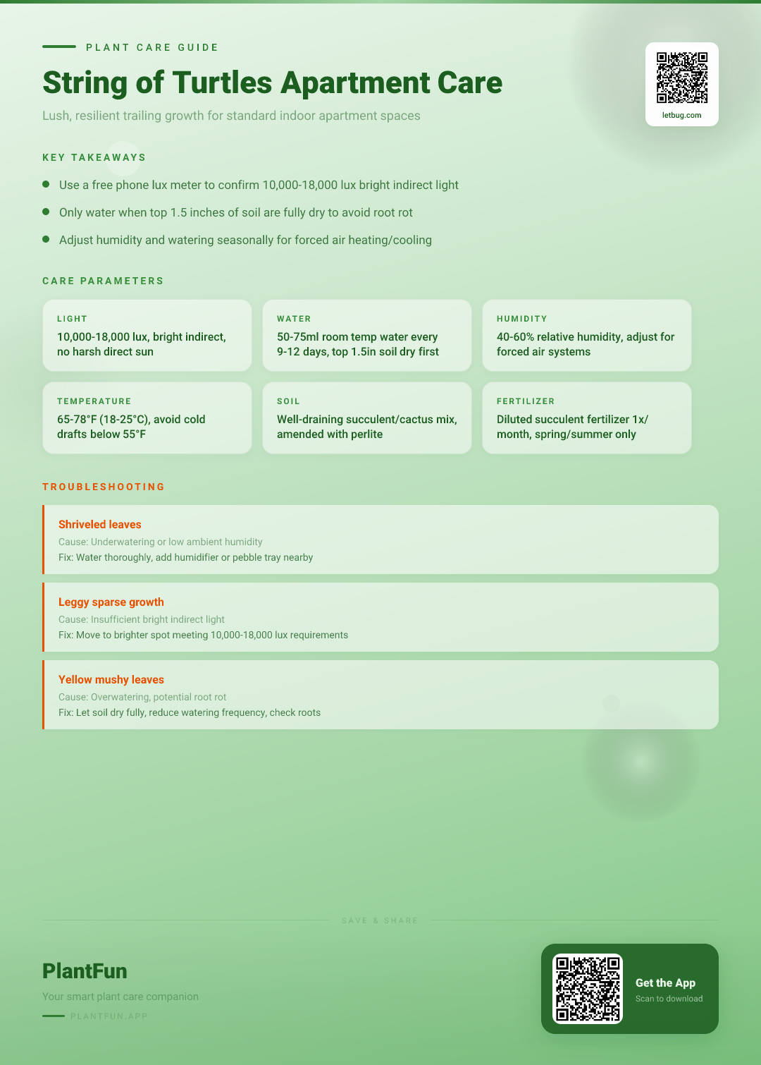 String of Turtles in Typical Apartments: The Only Care Checklist You Need for Lush, Resilient Growth — Care Guide for indoor houseplants