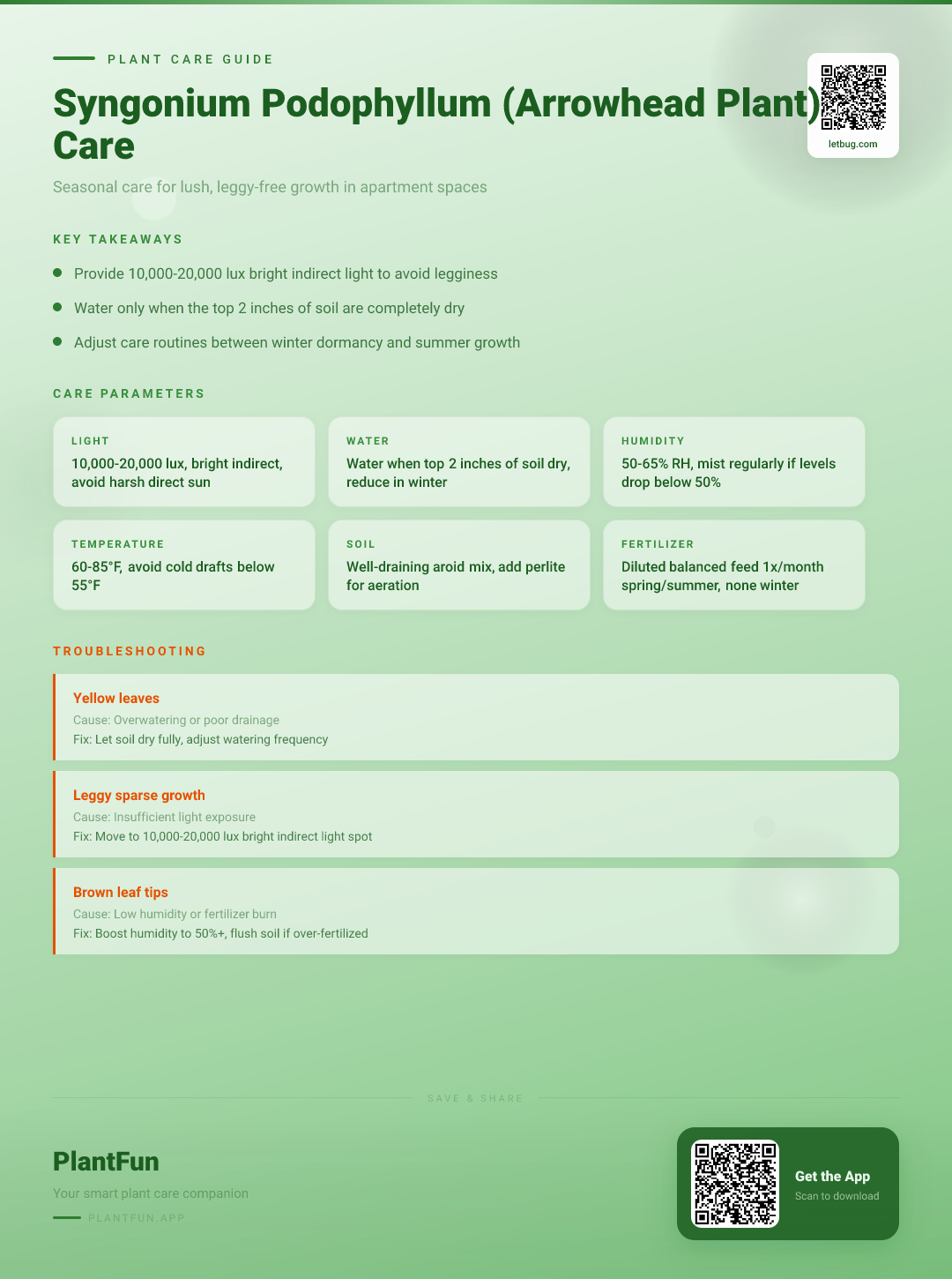 Syngonium Podophyllum in Your Apartment: The Complete Seasonal Care Guide for Resilient Growth — Care Guide for indoor houseplants