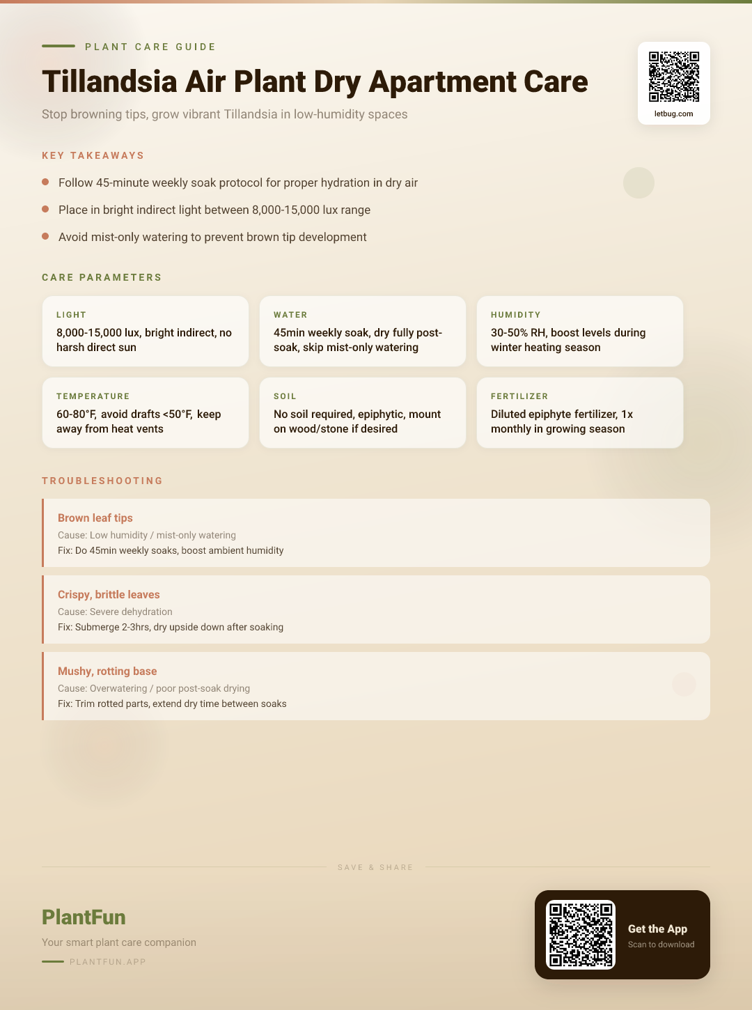 Tillandsia Air Plants in Dry Apartments: 7 Essential Fixes to Stop Browning Tips — Care Guide for indoor houseplants